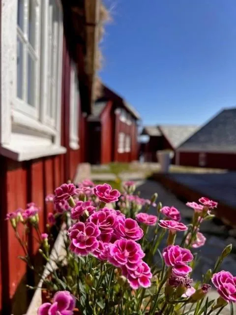 Garden in Håholmen - by Classic Norway Hotels