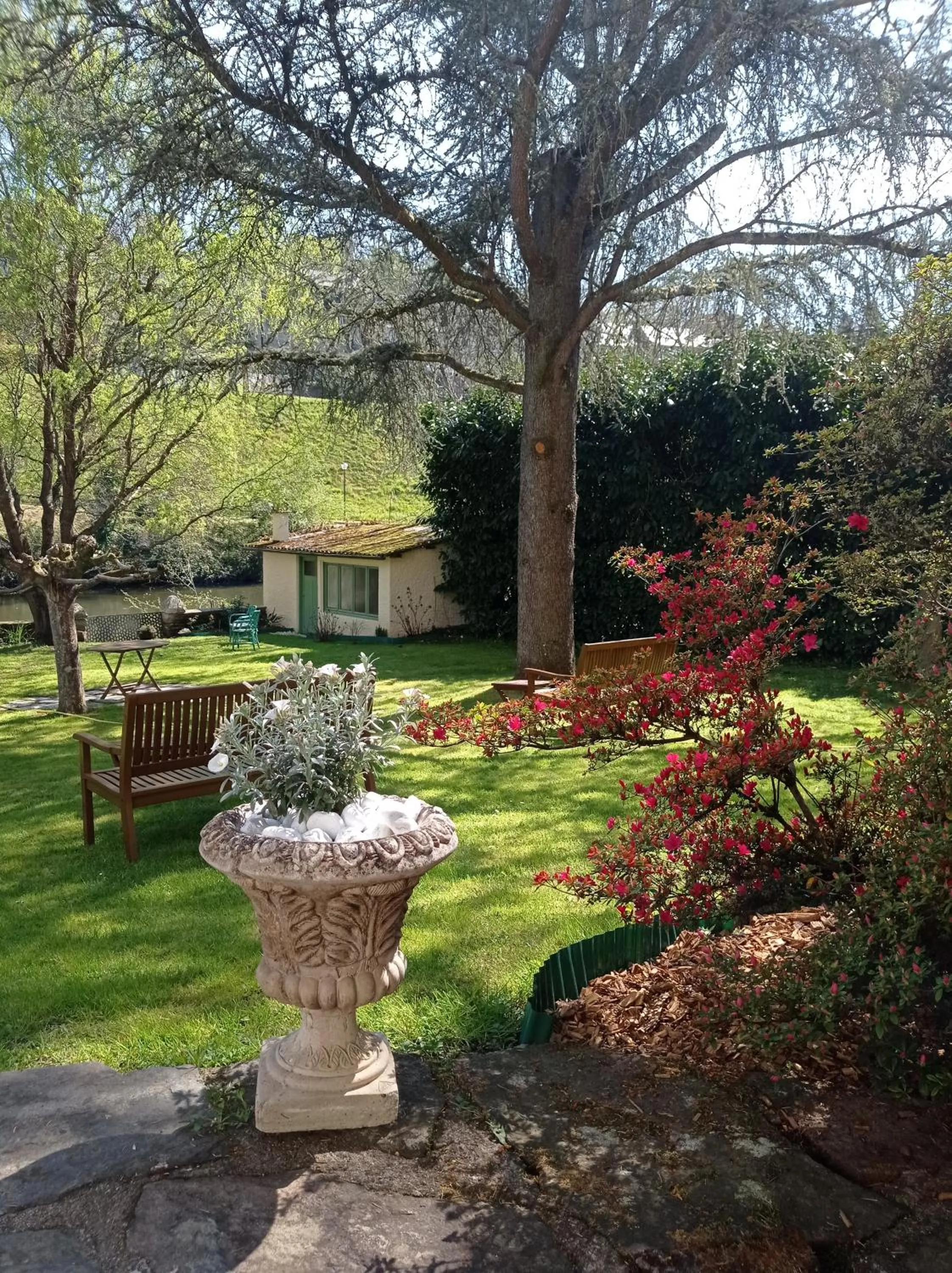 Garden view in Hôtel Ambroise