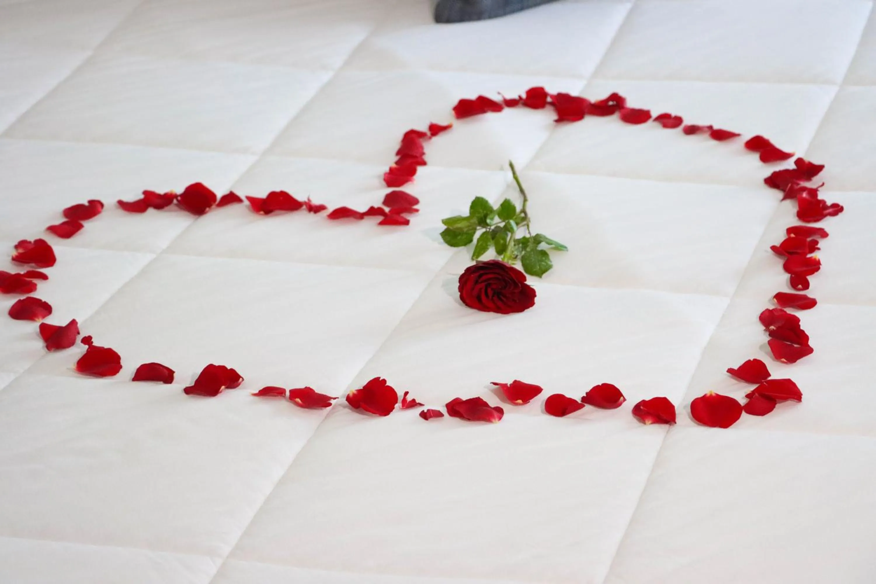 Bedroom in Bizerta Resort Congres & SPA