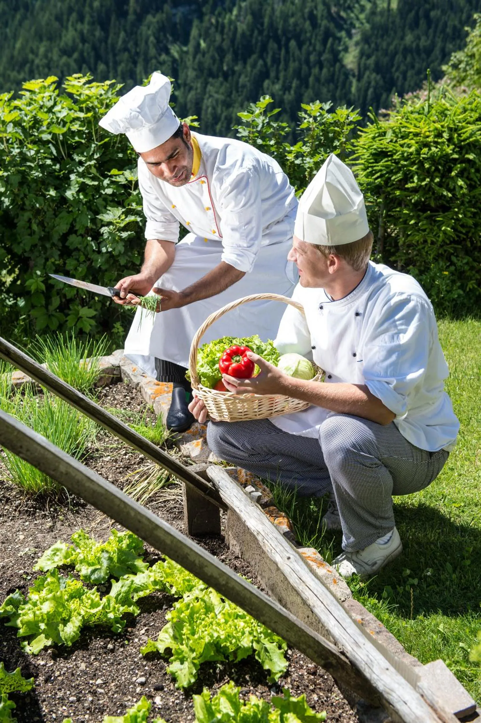 Restaurant/places to eat in Hotel Ansitz Jakoberhof