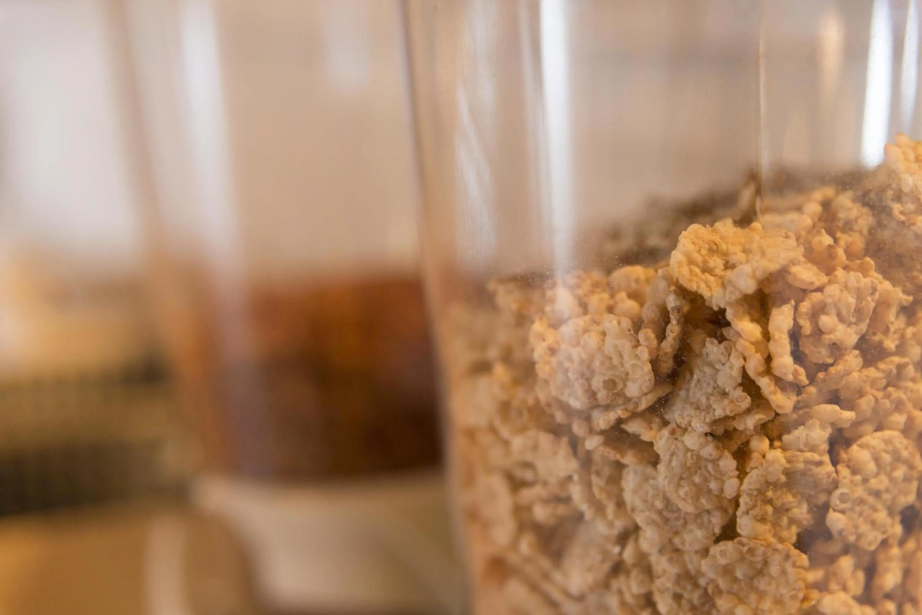 Breakfast in Don Pablo