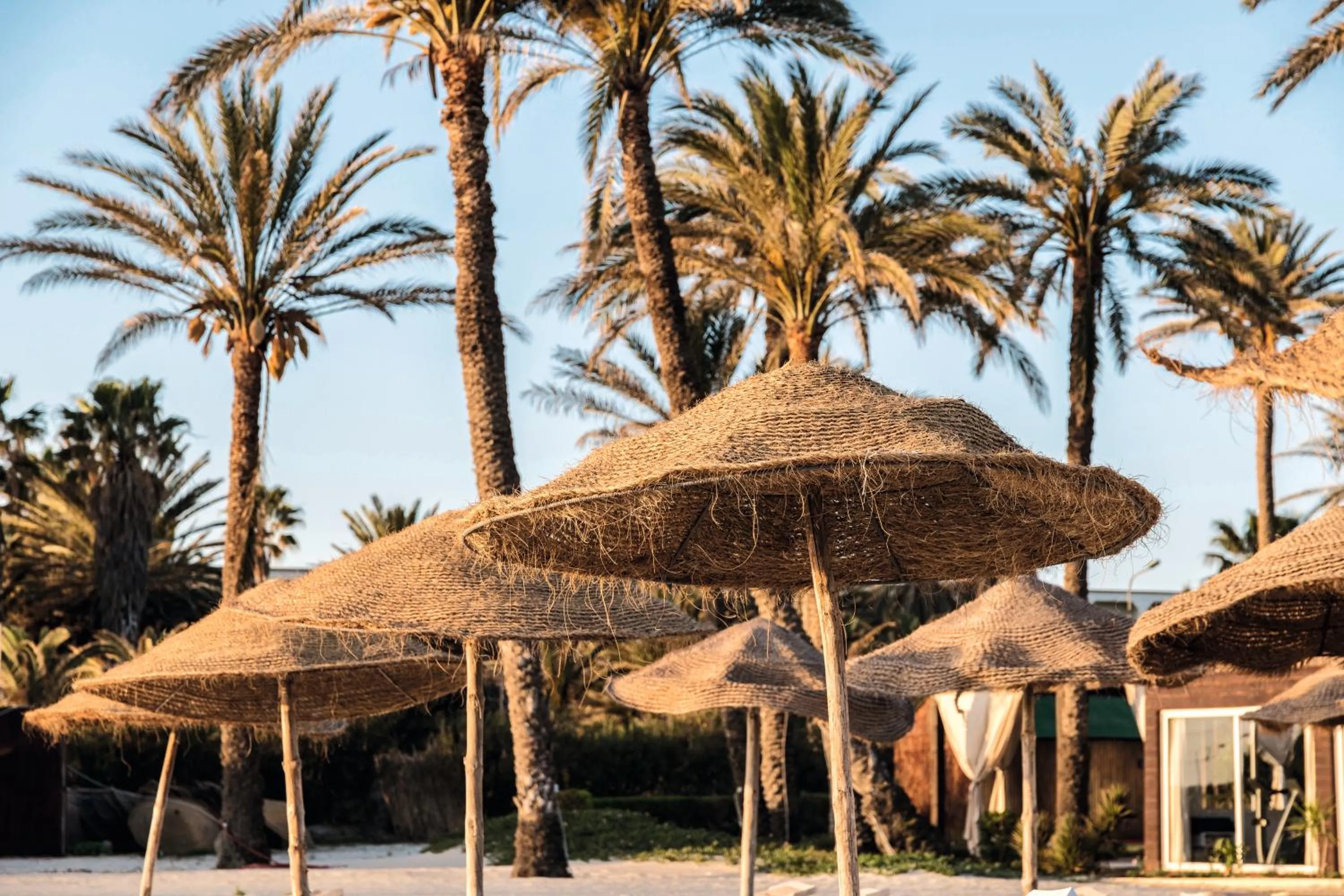 Beach in TUI BLUE Scheherazade Adults Only - All Inclusive