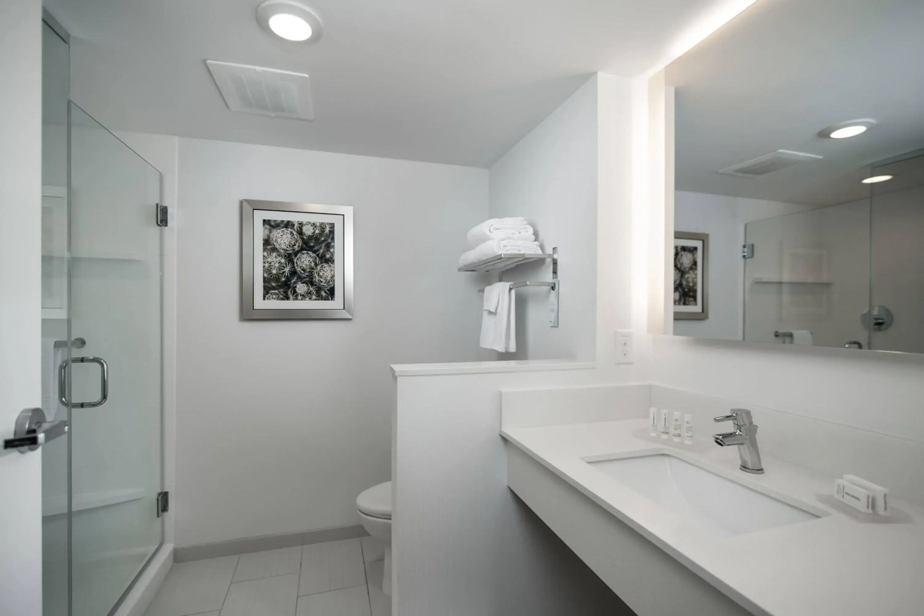 Studio King with Balcony and Sofa Bed in Fairfield Inn & Suites Fort Worth Downtown/Convention Center Studio King with Balcony and Sofa Bed in Fairfield Inn & Suites Fort Worth Downtown/Convention Center