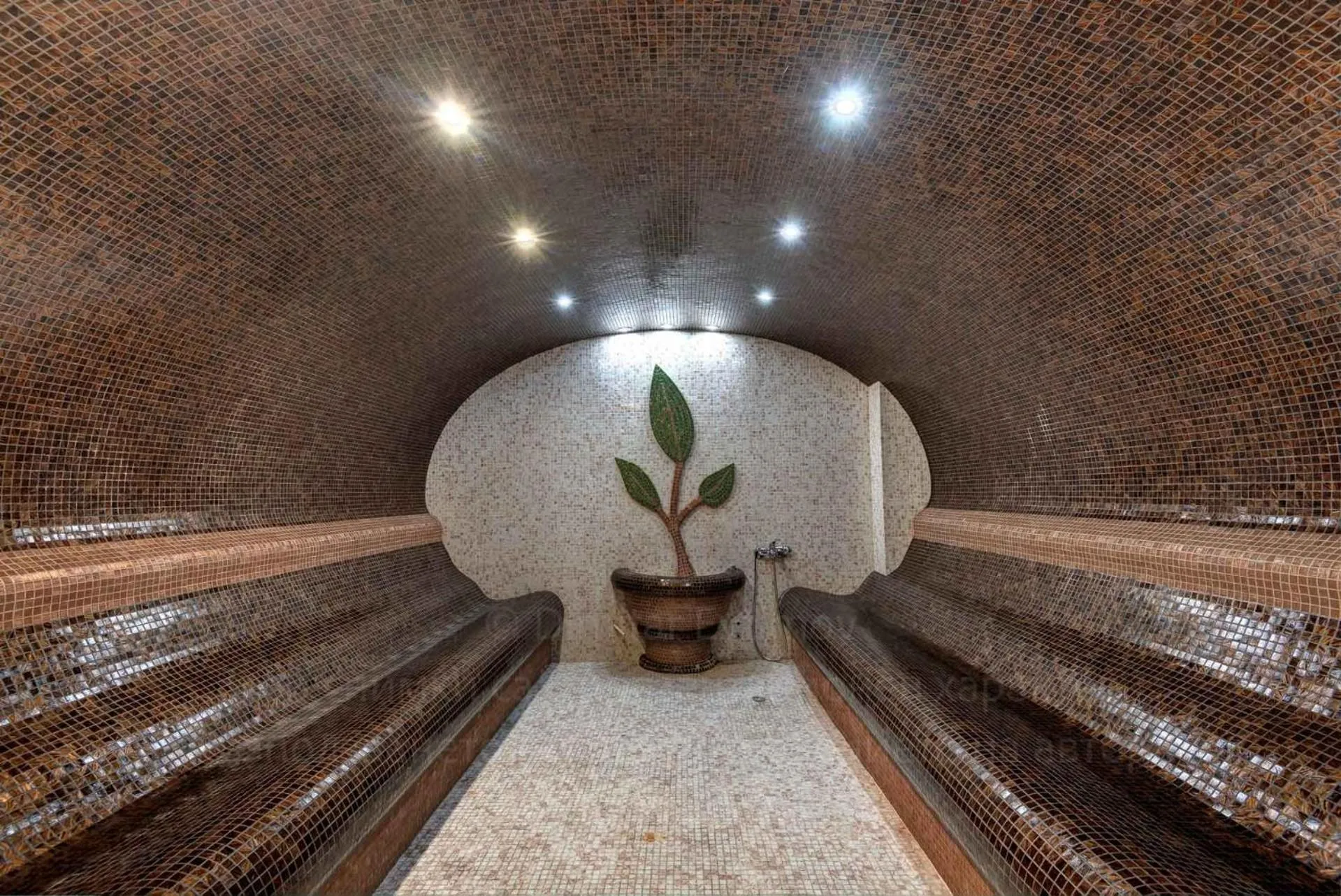 Steam room in Festa Via Pontica