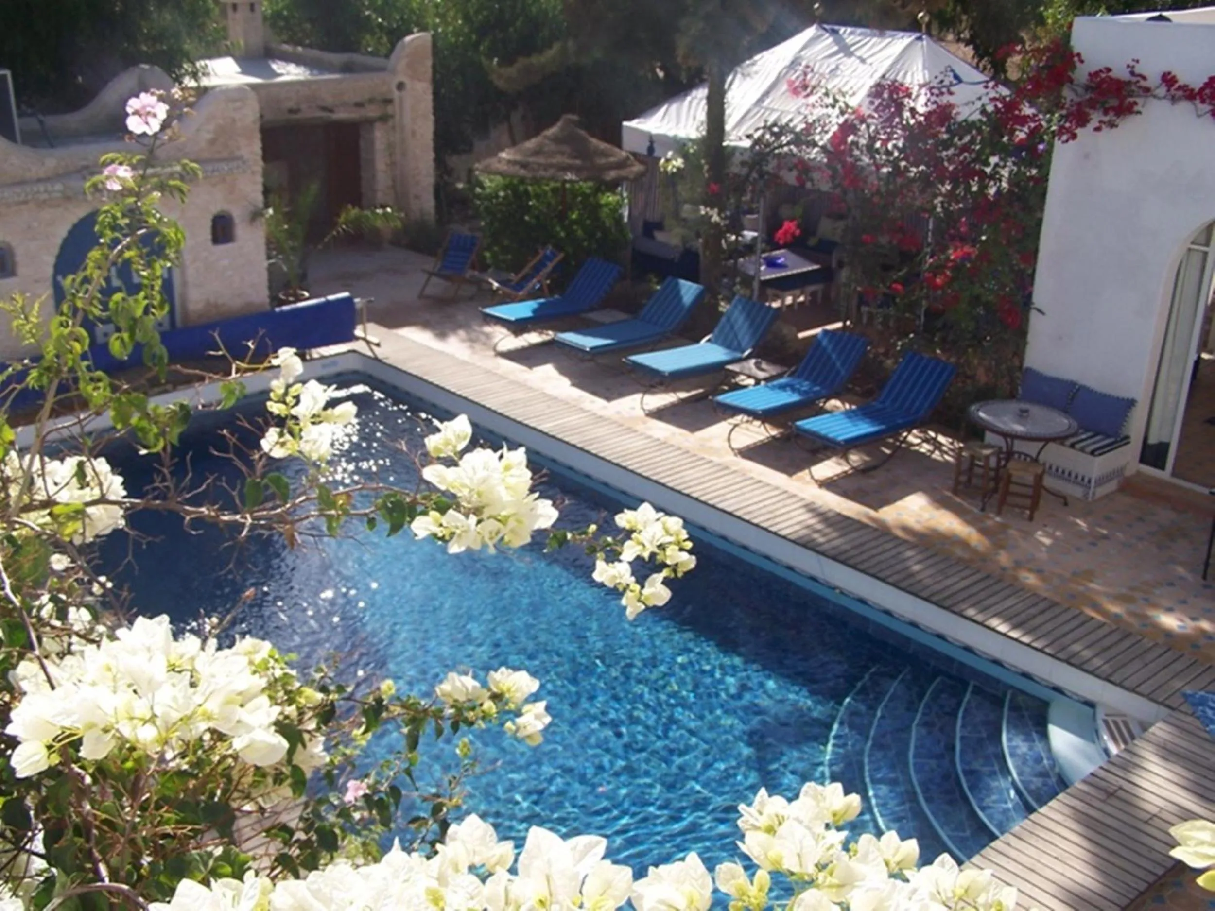 Swimming pool in Villa Daba