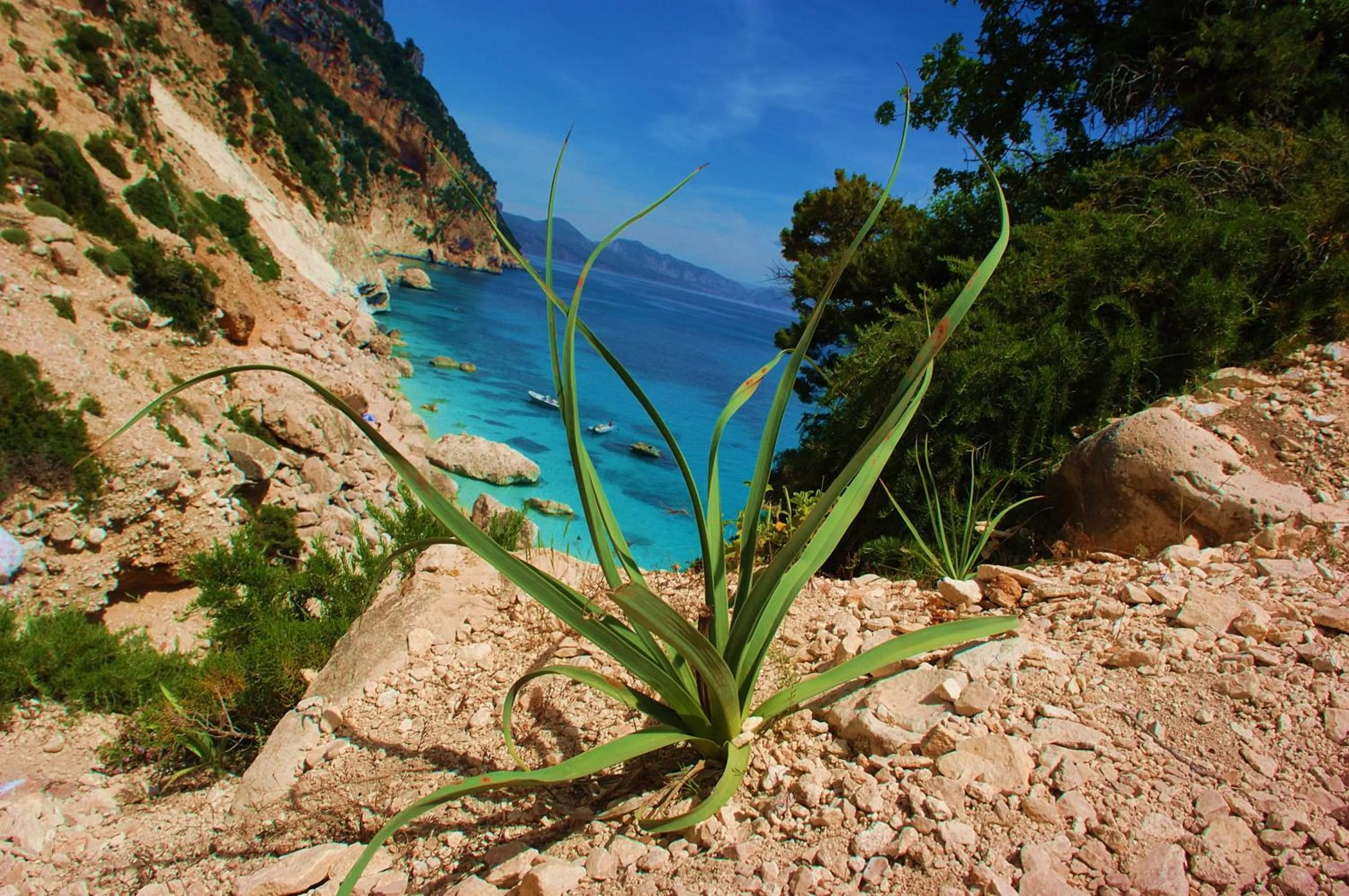 Area and facilities in Hotel Quasar