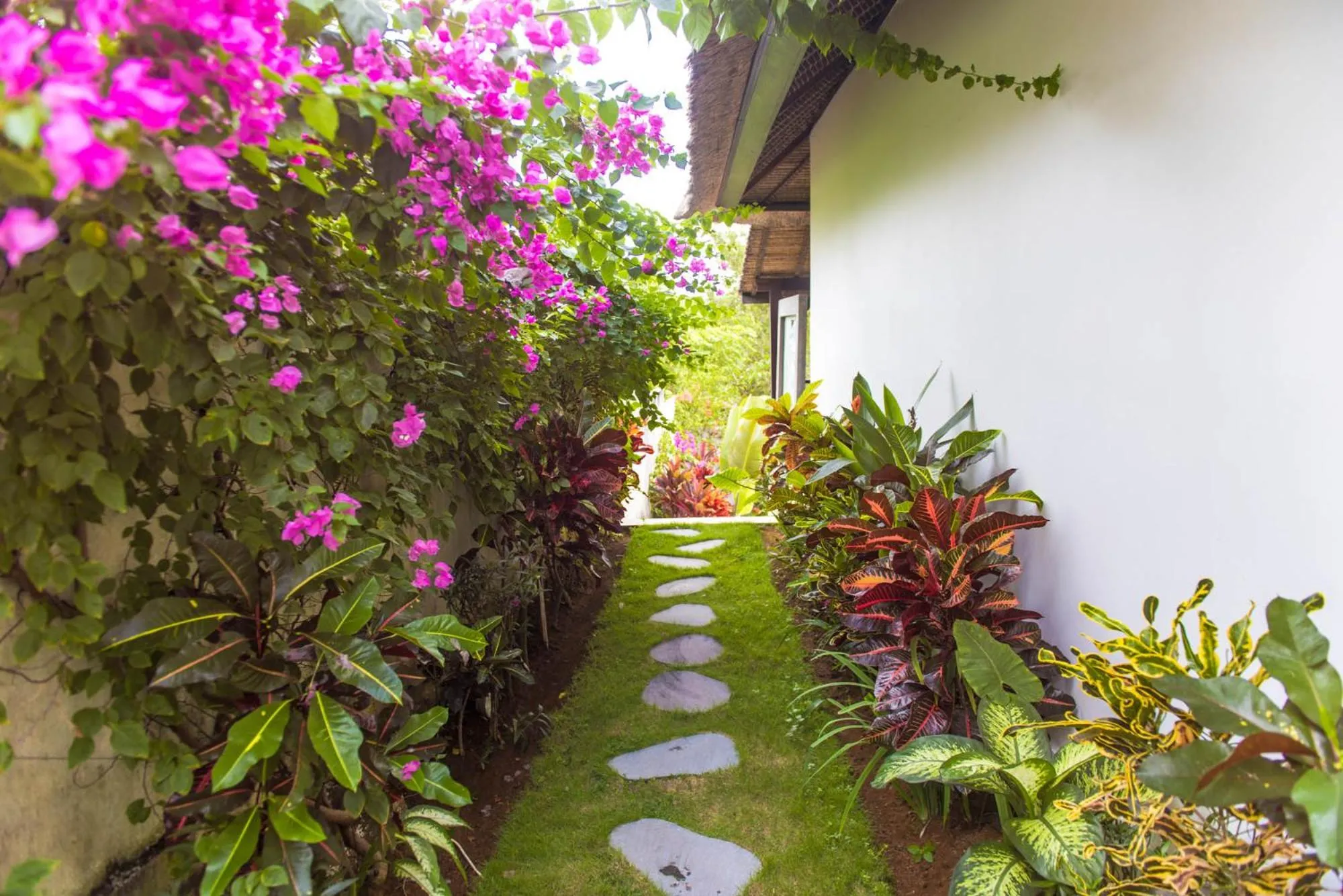 Garden in Villa Michiko