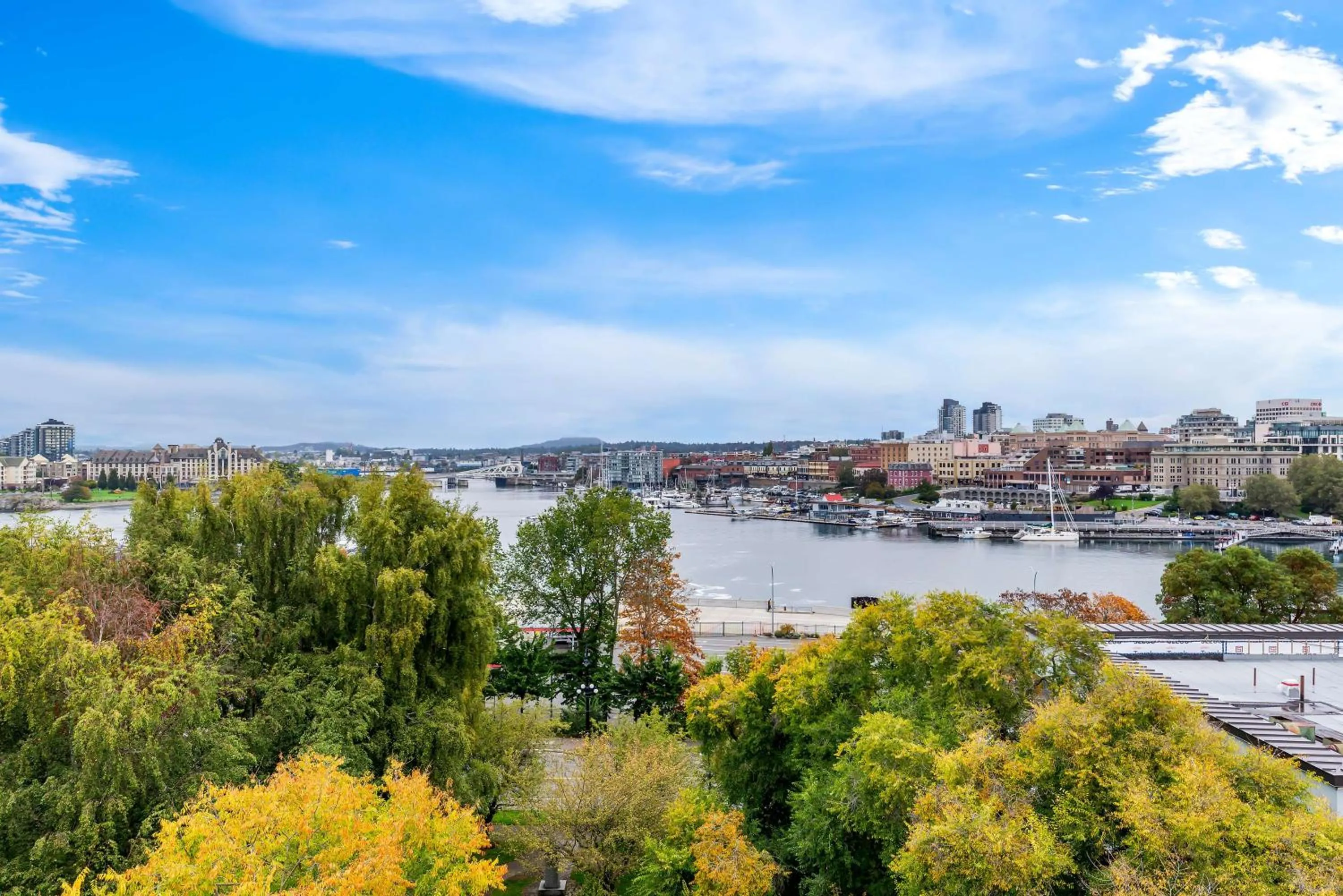 Photo of the whole room in Best Western PLUS Inner Harbour Hotel