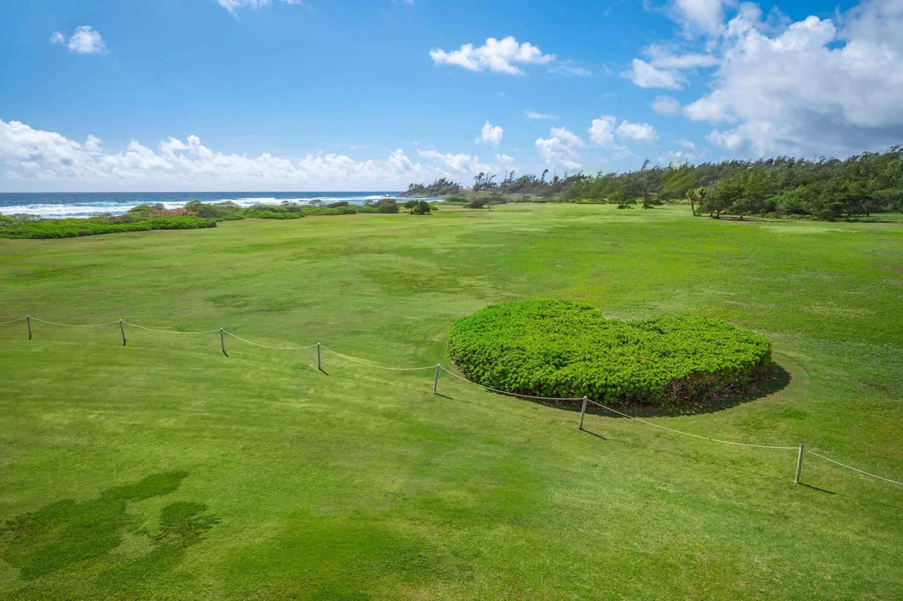 View (from property/room) in OUTRIGGER Kaua'i Beach Resort & Spa