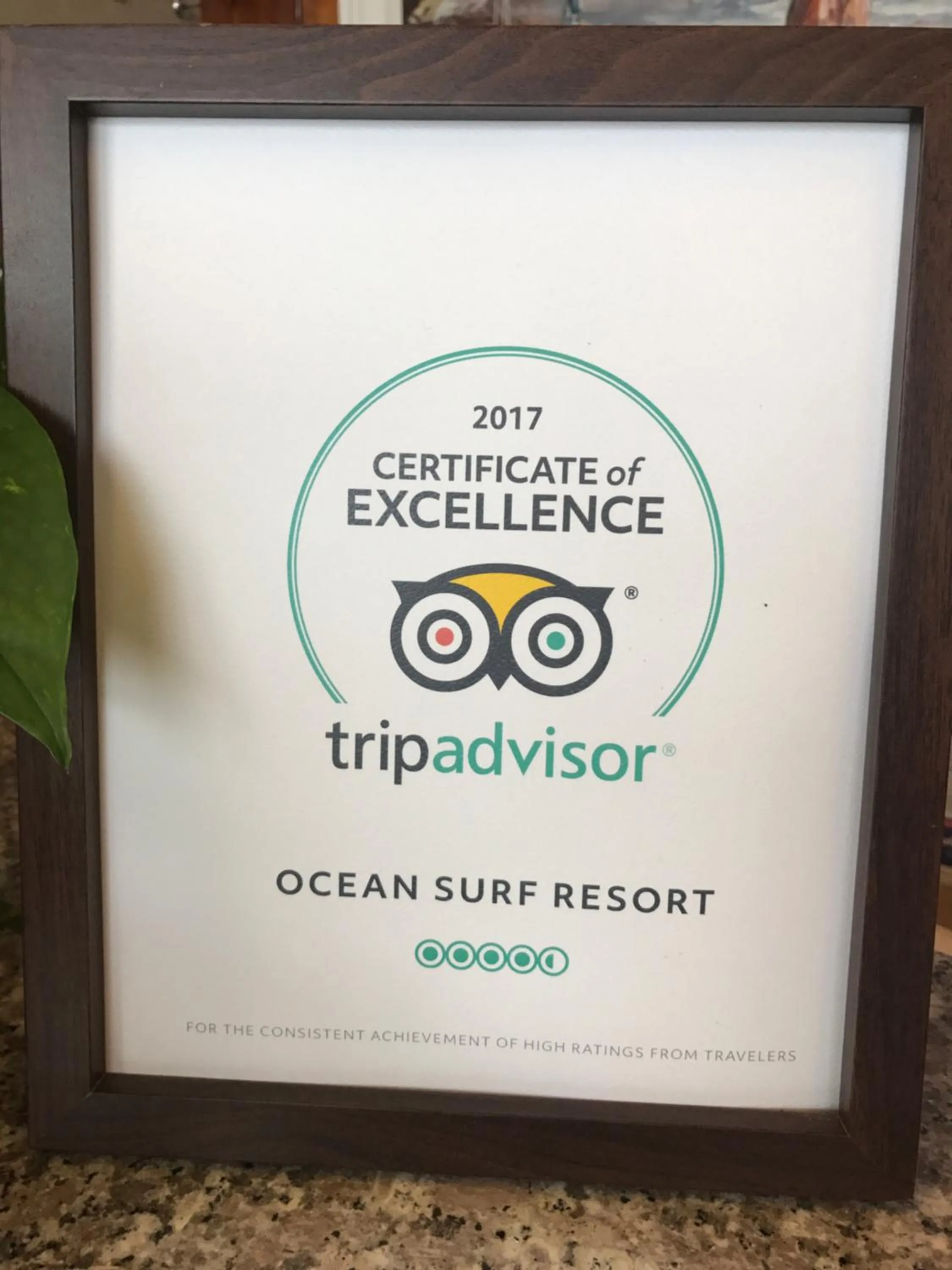 Certificate/Award in Ocean Surf Resort
