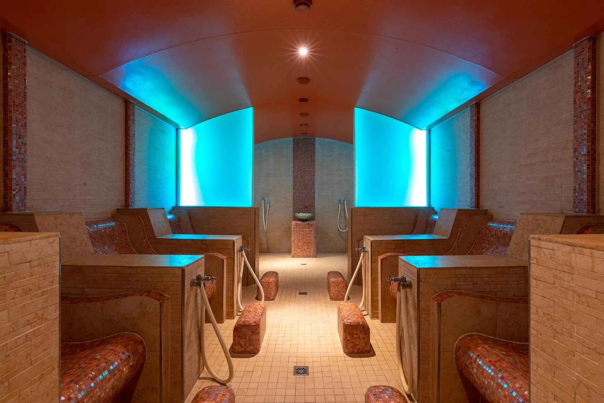 Spa and wellness centre/facilities in Hotel Alpenhof