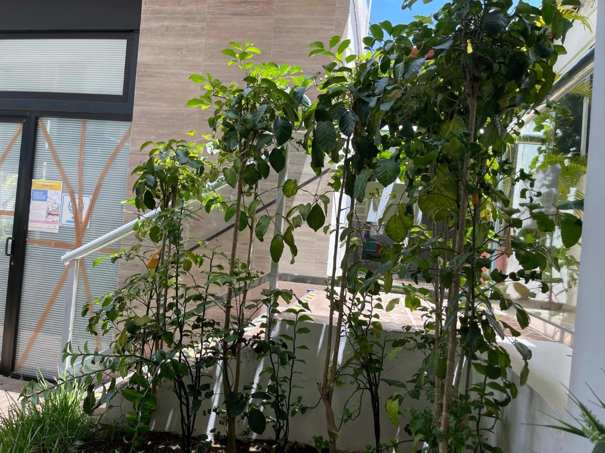 Hotel Villa Escondida Campeche