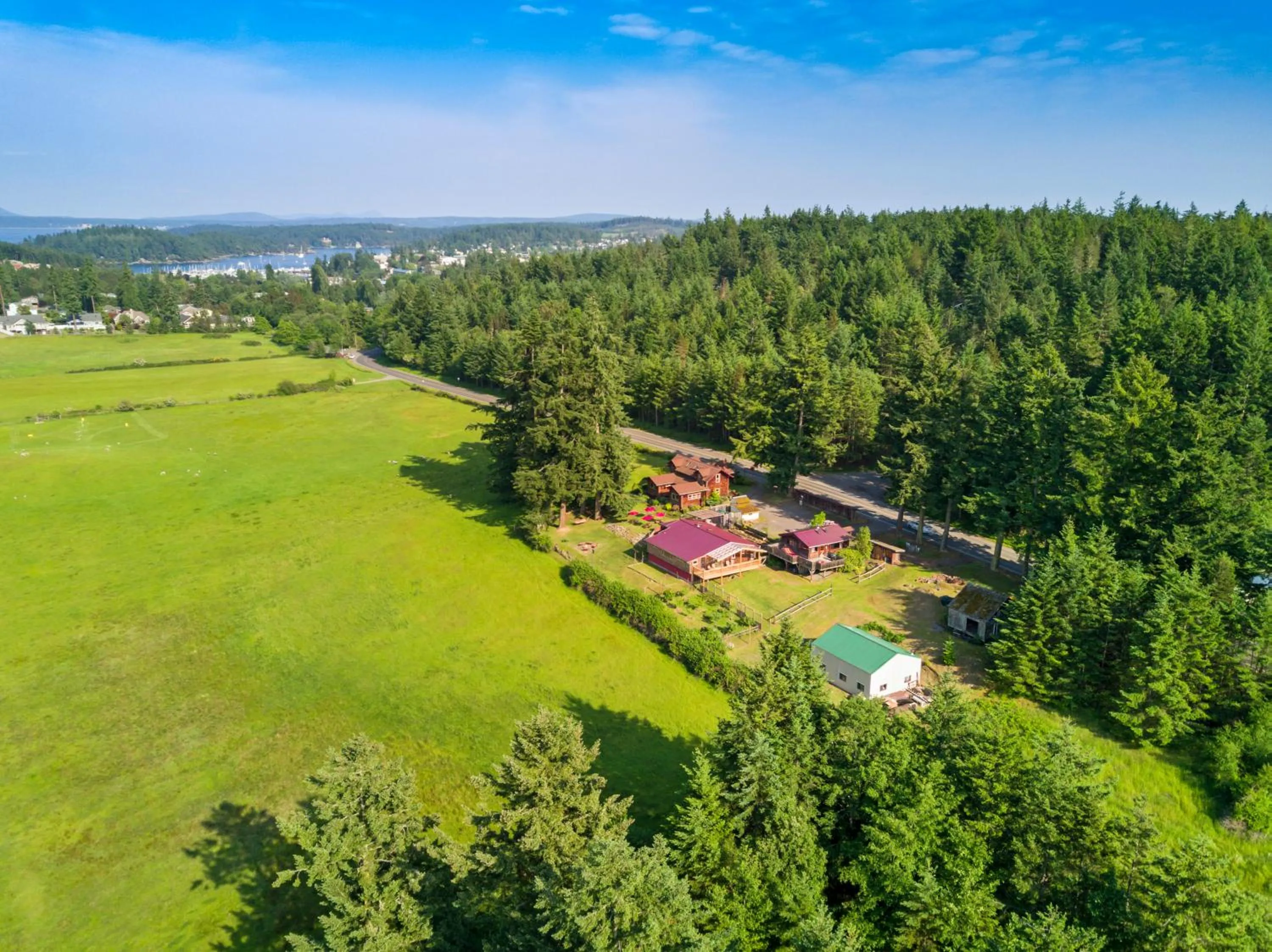 Bird's eye view in Juniper Lane Guest House
