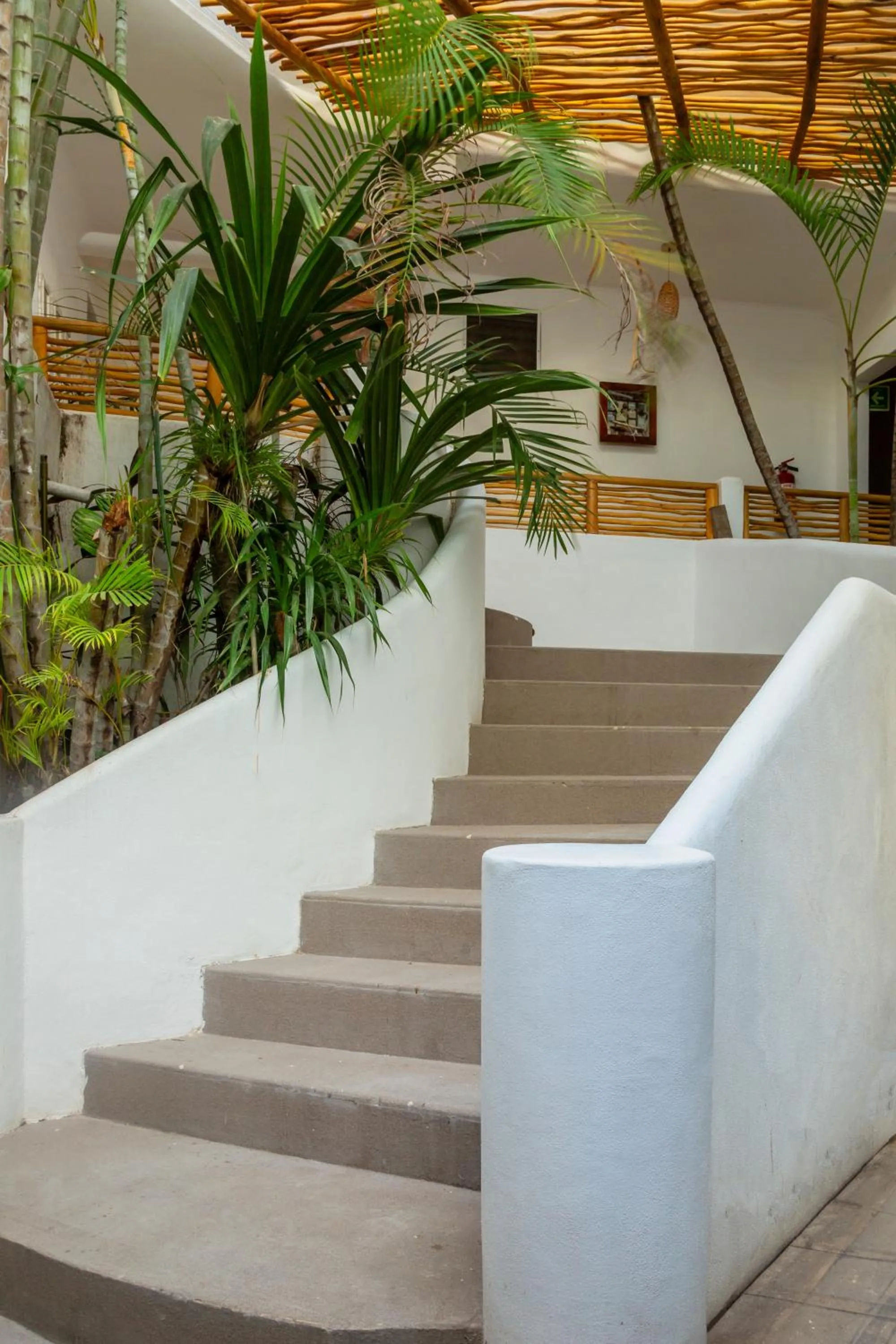 Property building in Hotel Amaca Puerto Vallarta - Adults Only