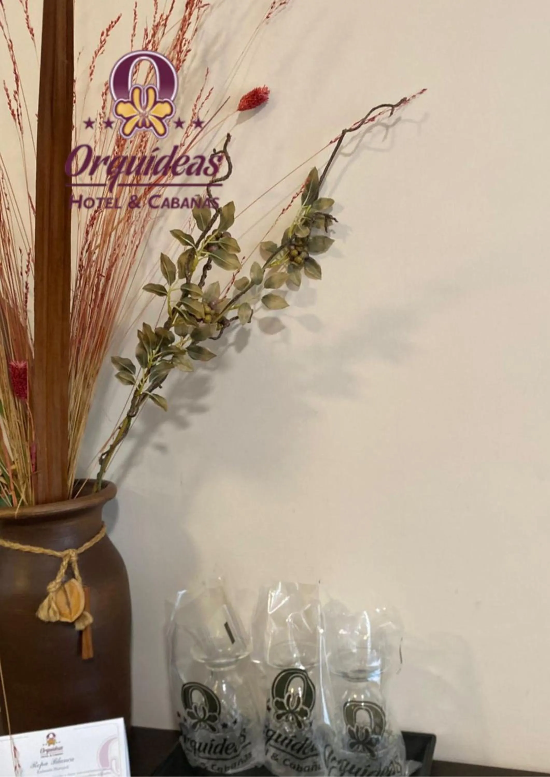 Decorative detail in Orquideas Hotel & Cabañas