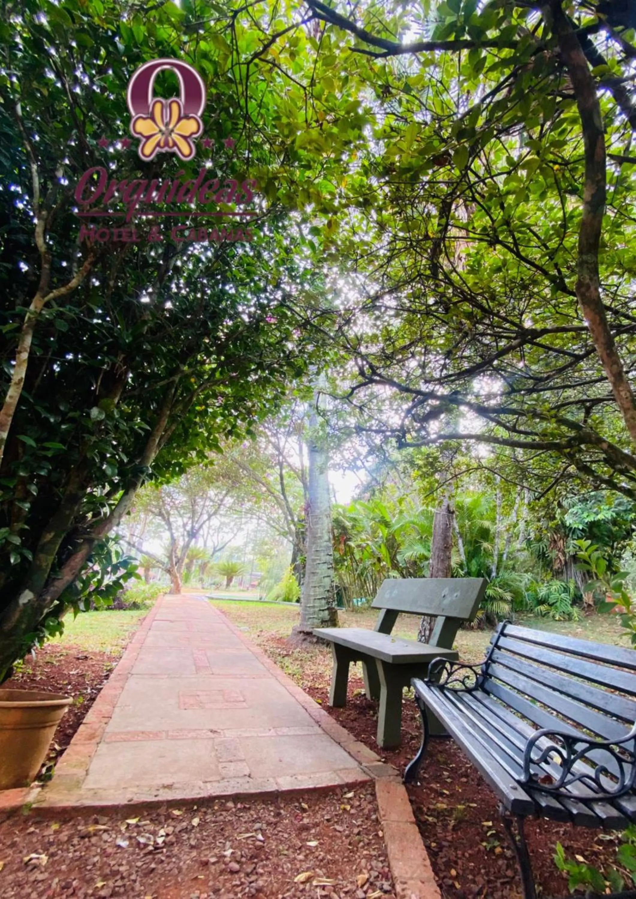 Natural landscape in Orquideas Hotel & Cabañas