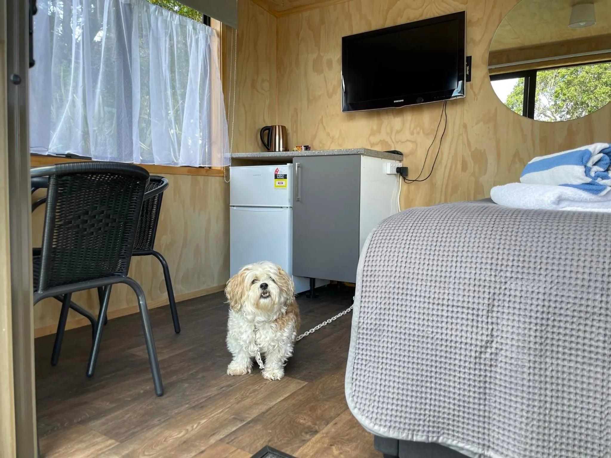 Living room in Athenree Hot Springs & Holiday Park