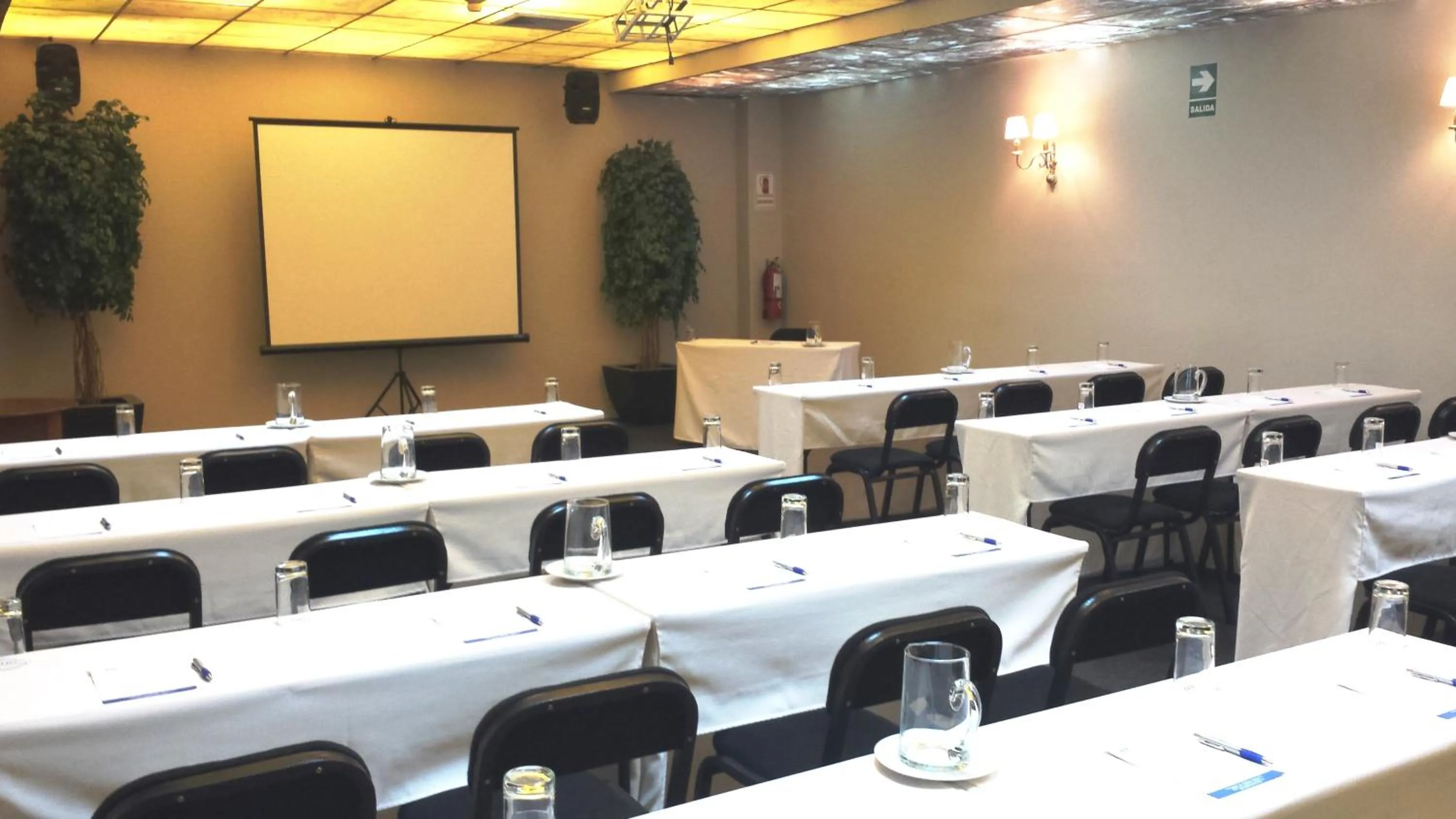 Business facilities in Hotel Miramar