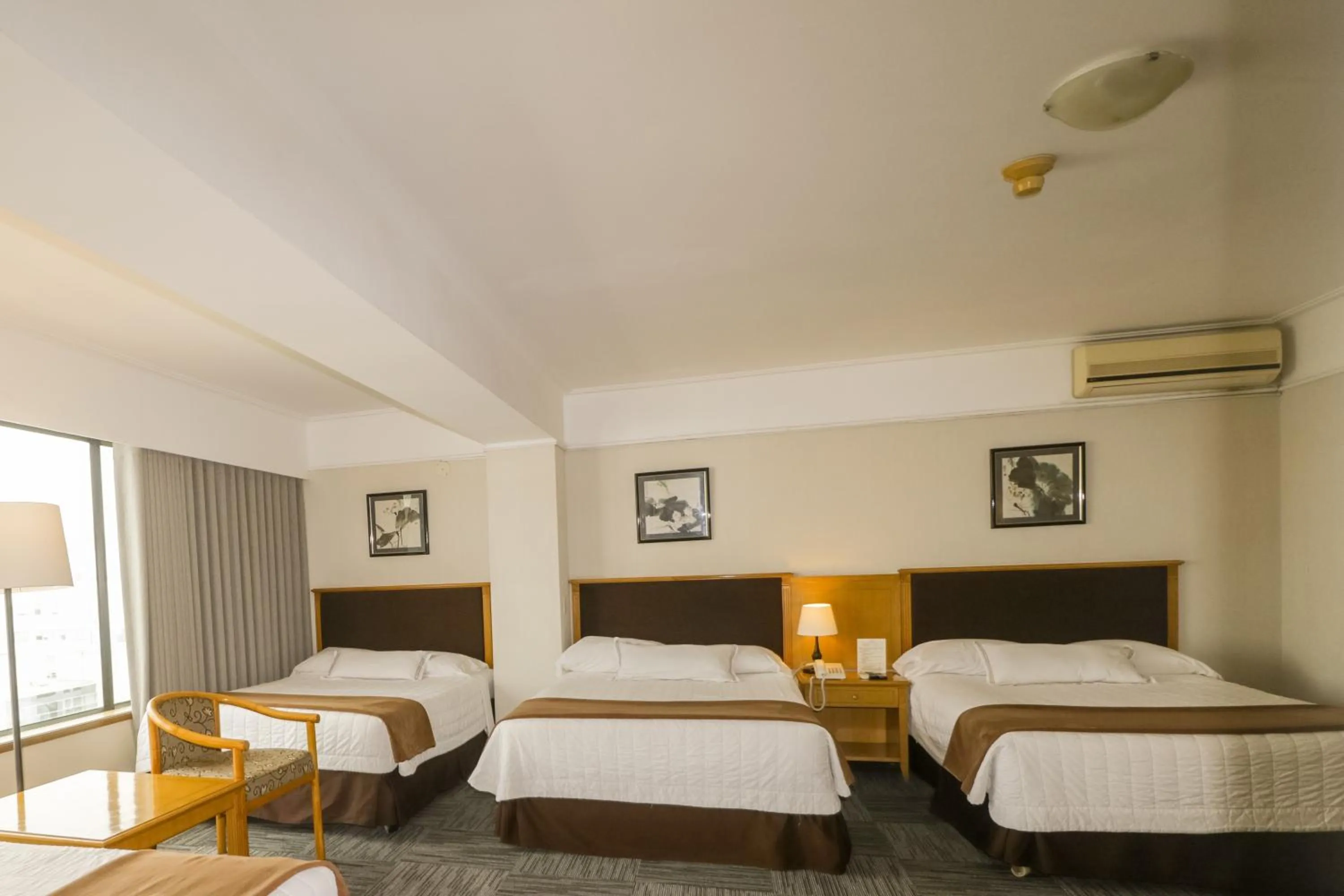 City view, Bed in Hotel Miramar