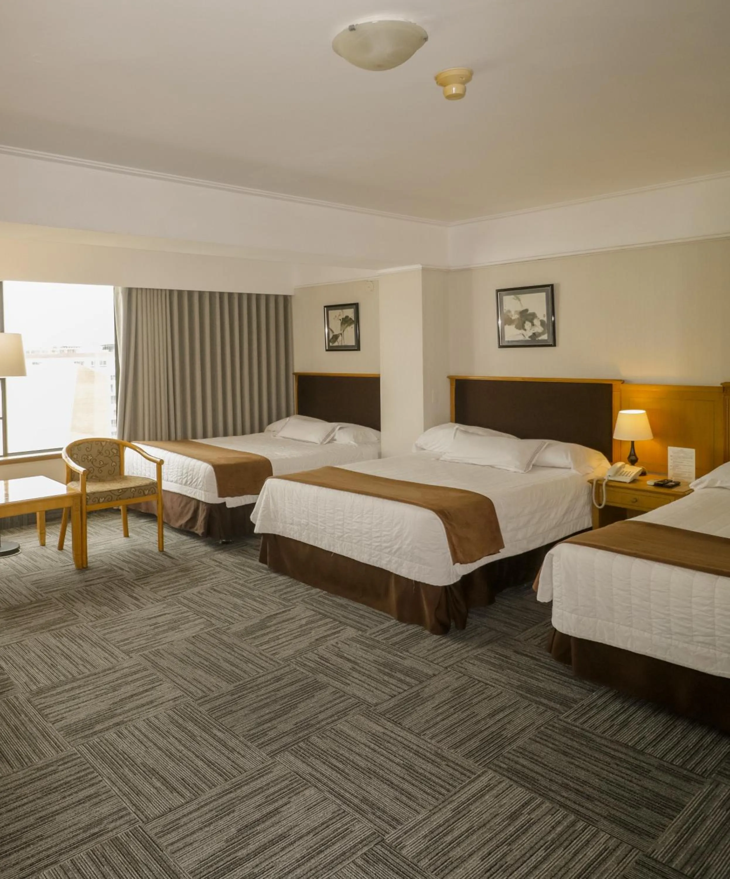 Street view, Bed in Hotel Miramar