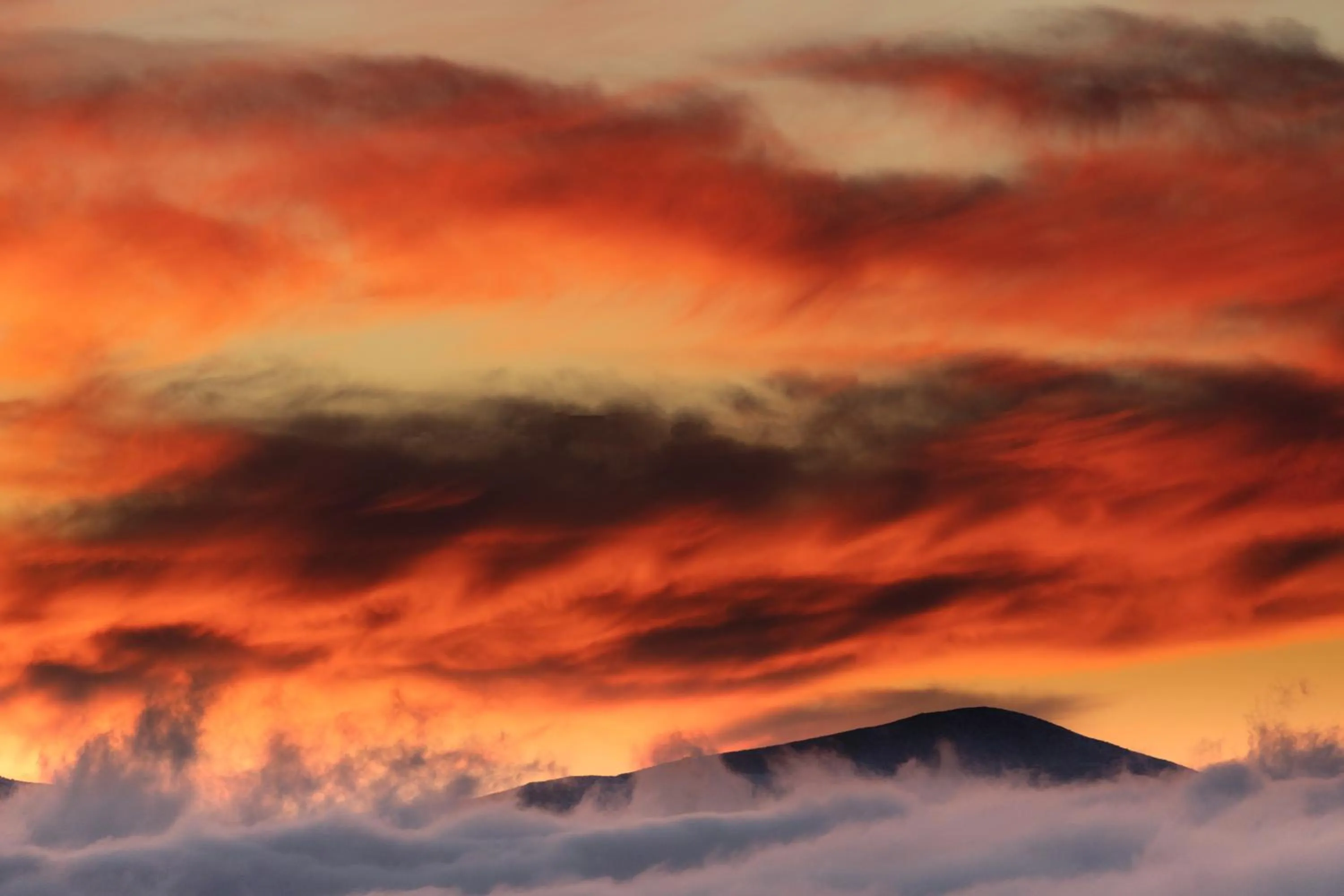Nearby landmark in Le Cedrus Hotel