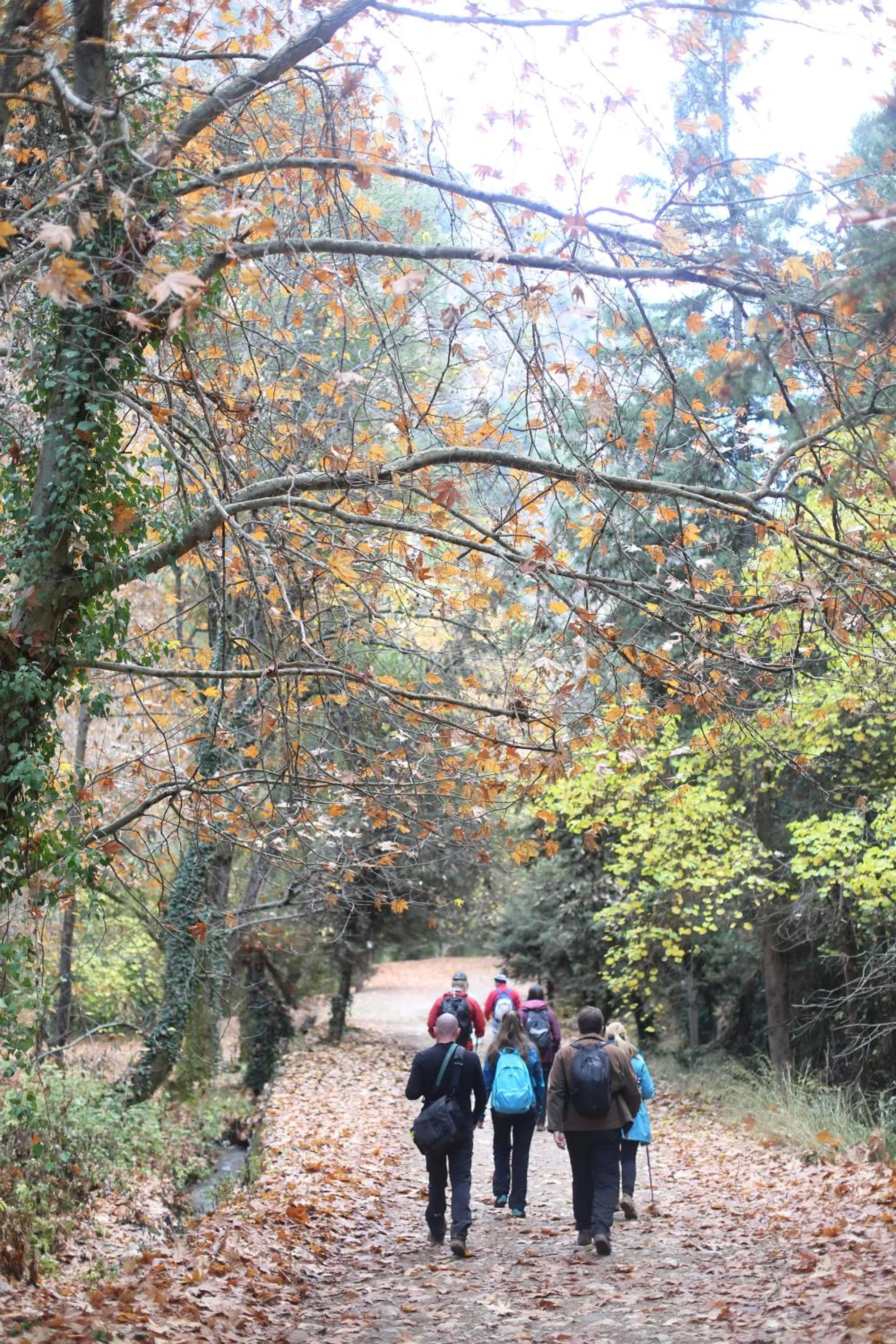 Day in Le Cedrus Hotel