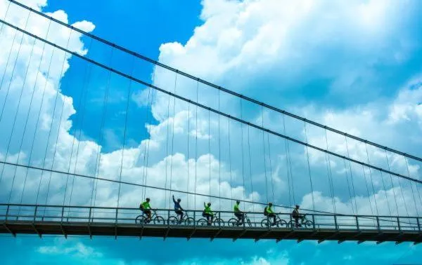 Cycling in Oxalis Home