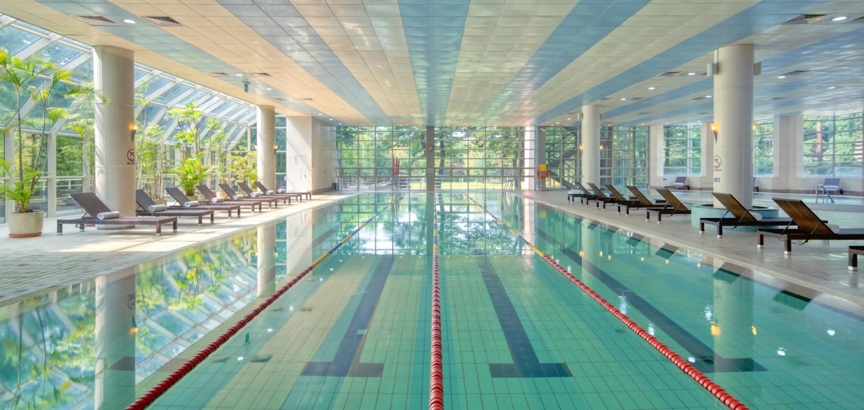 Swimming pool in Mayfield Hotel Seoul