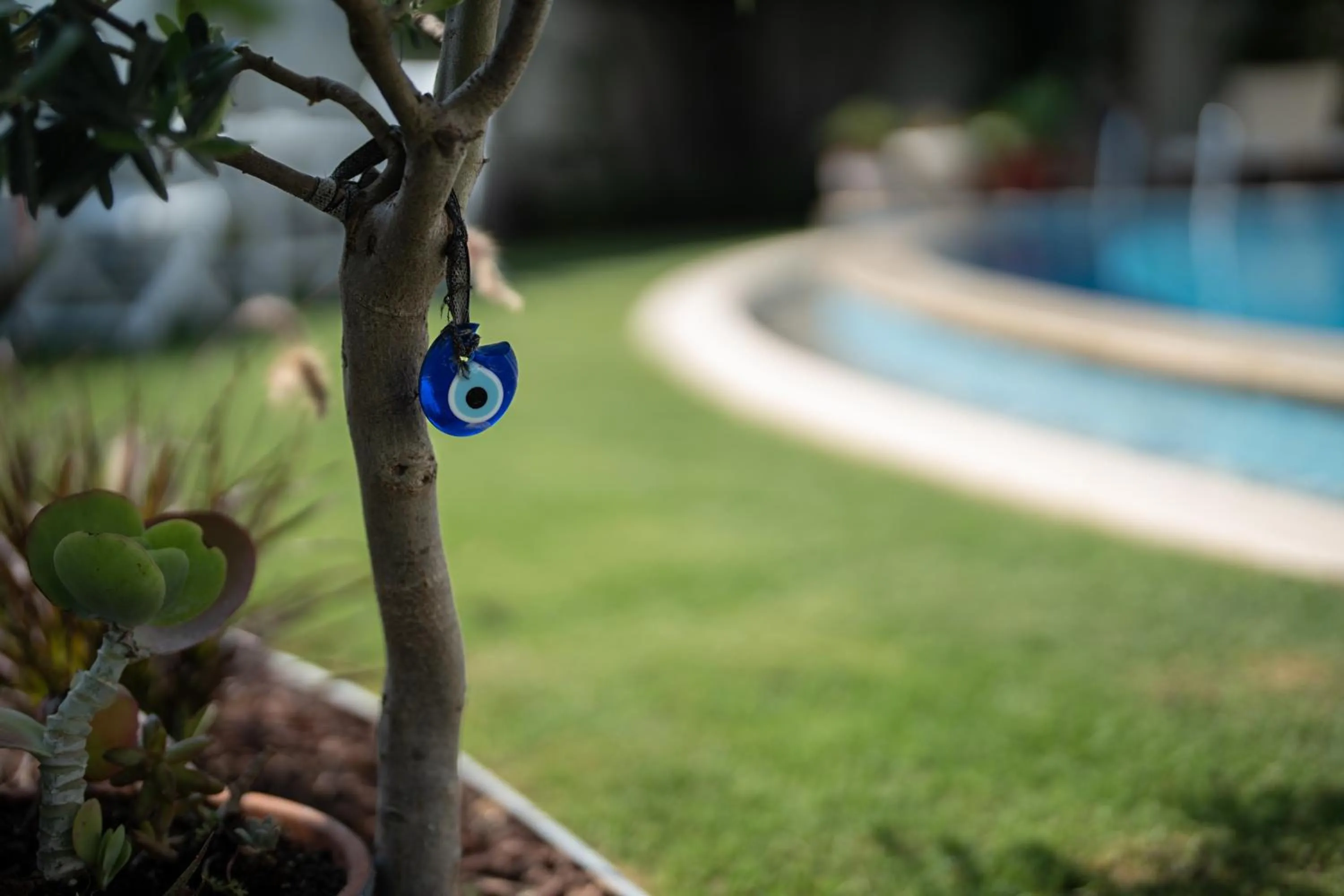 Garden in Sedirli Ev