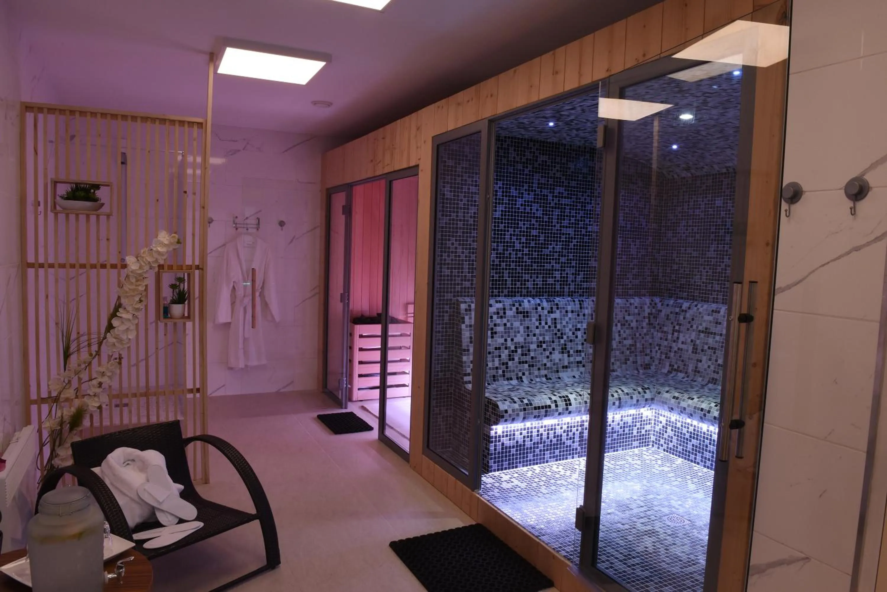 Spa and wellness centre/facilities in Hôtel Normandie Spa