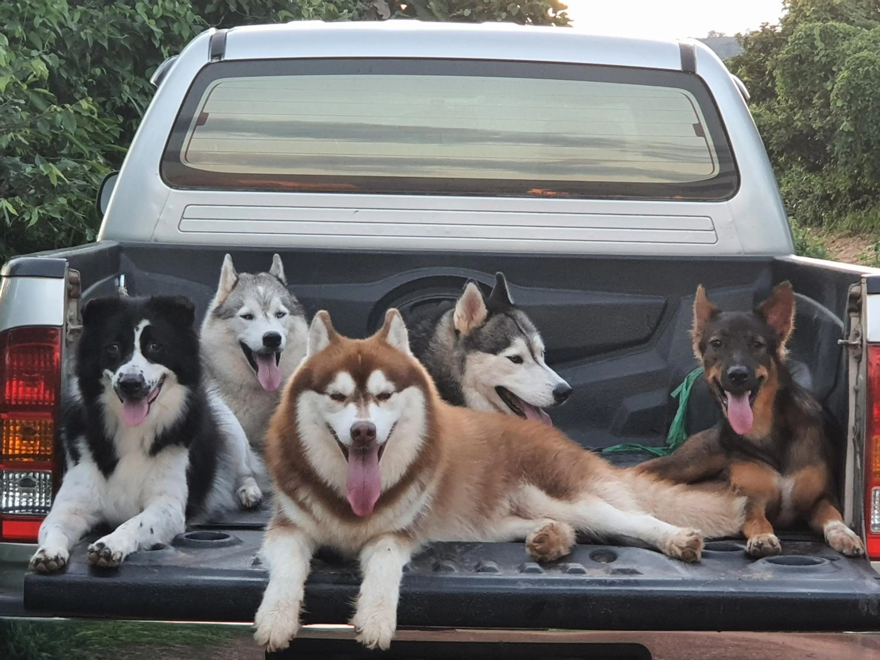 Saengcha Farm Resort