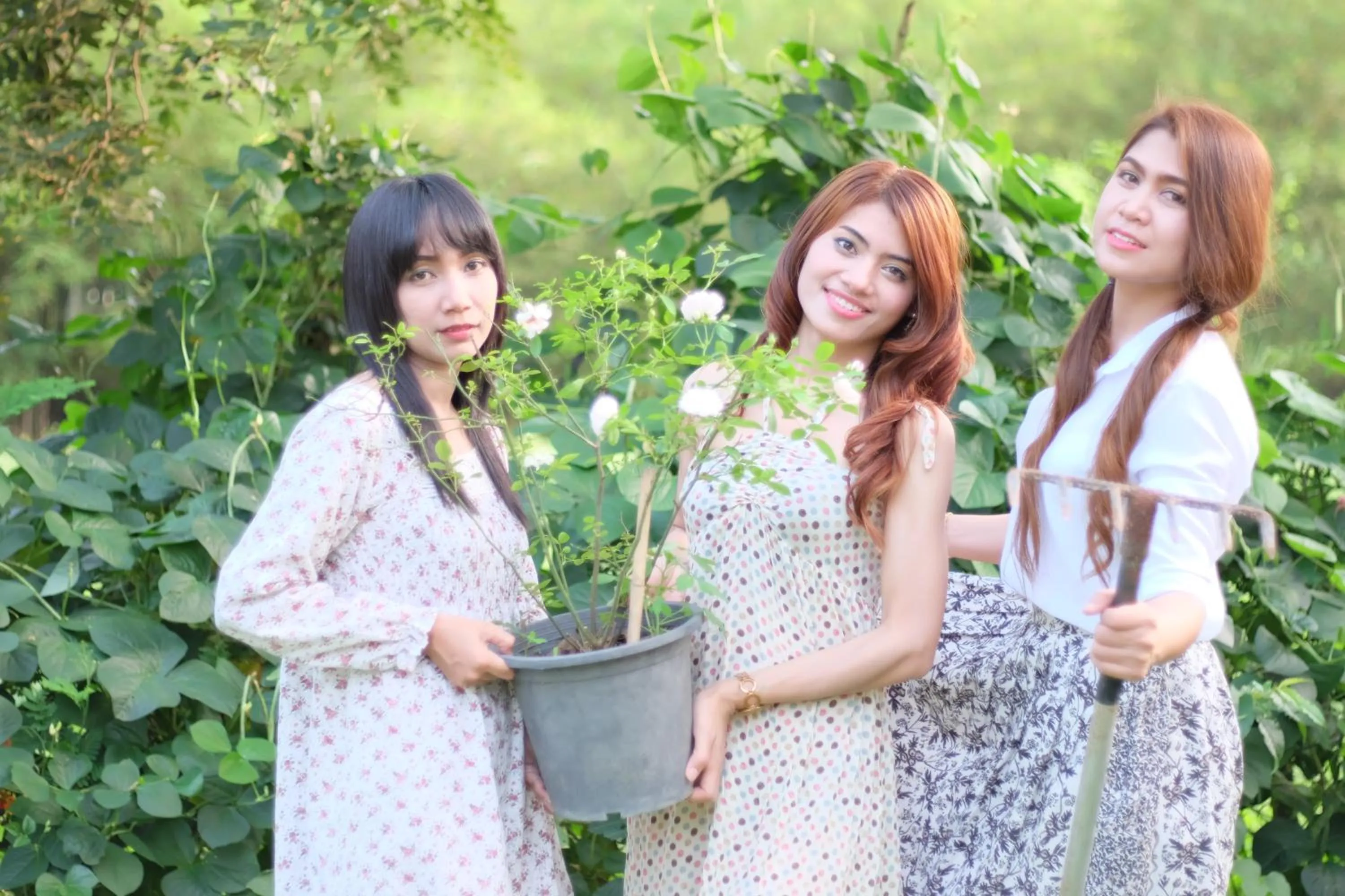 Saengcha Farm Resort