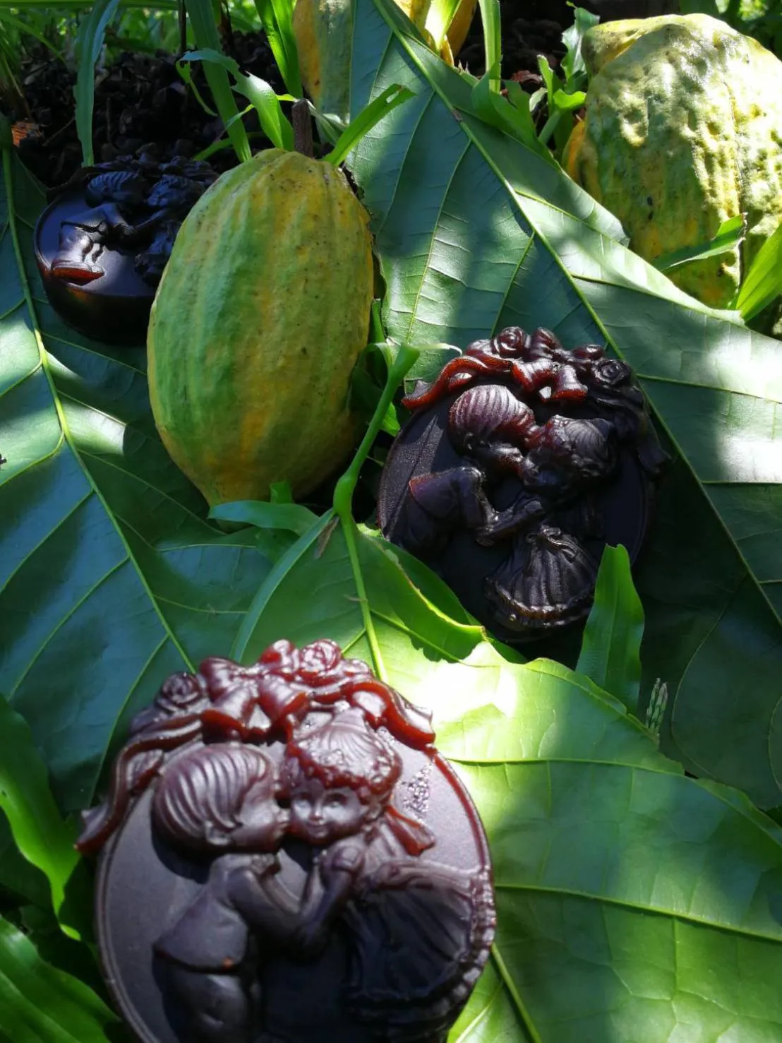 Saengcha Farm Resort