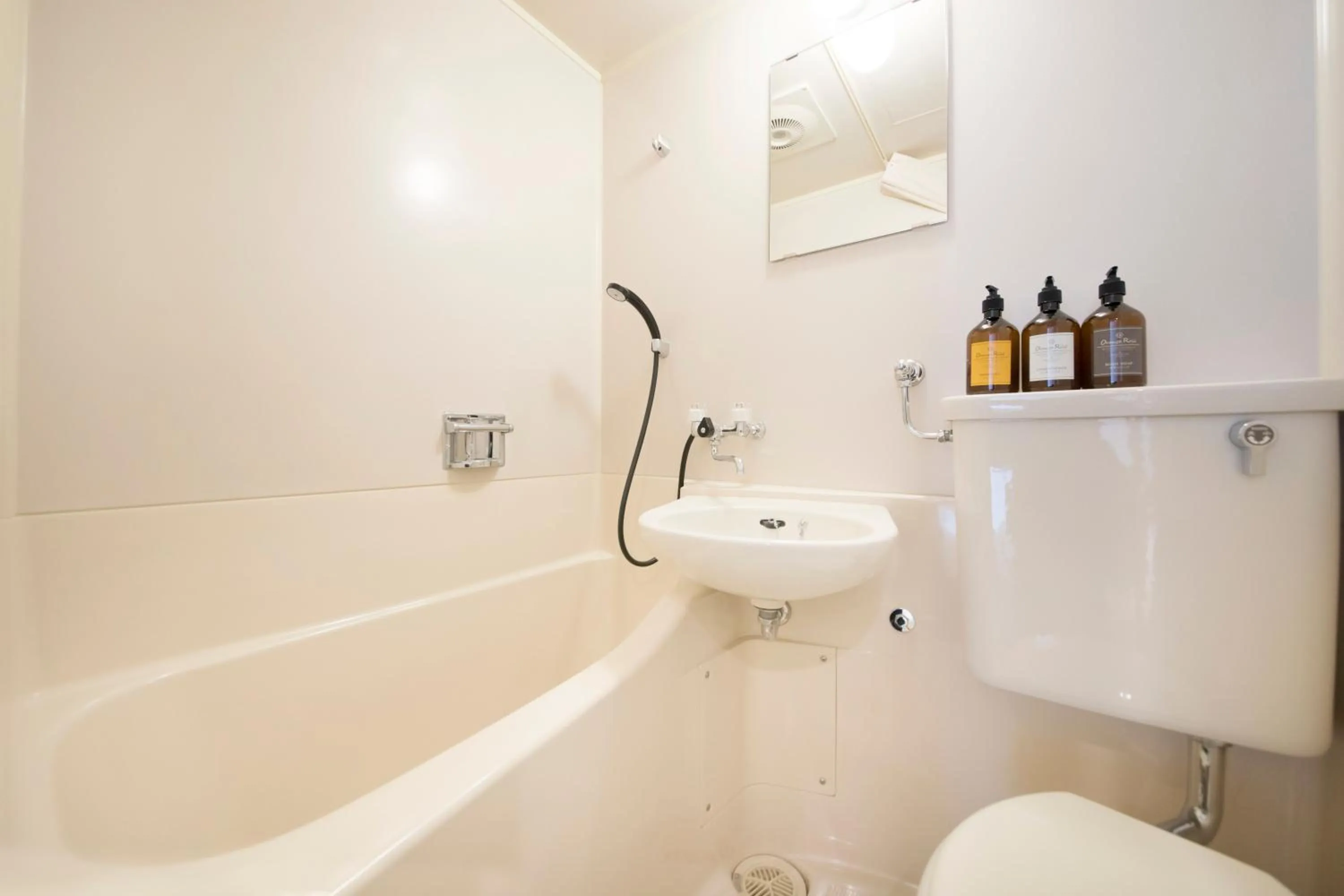 Bathroom in Kokotel Hakodate