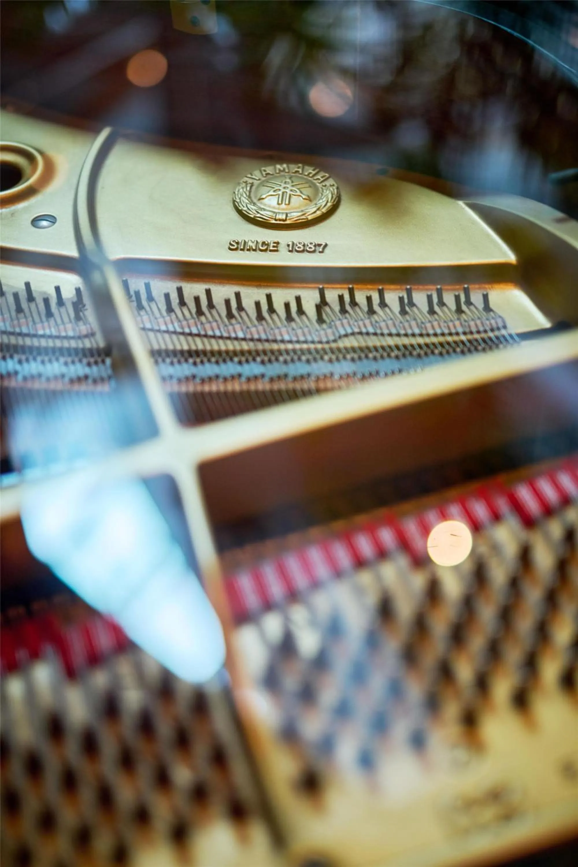 Lobby or reception in Radisson Blu Plaza Hotel, Oslo