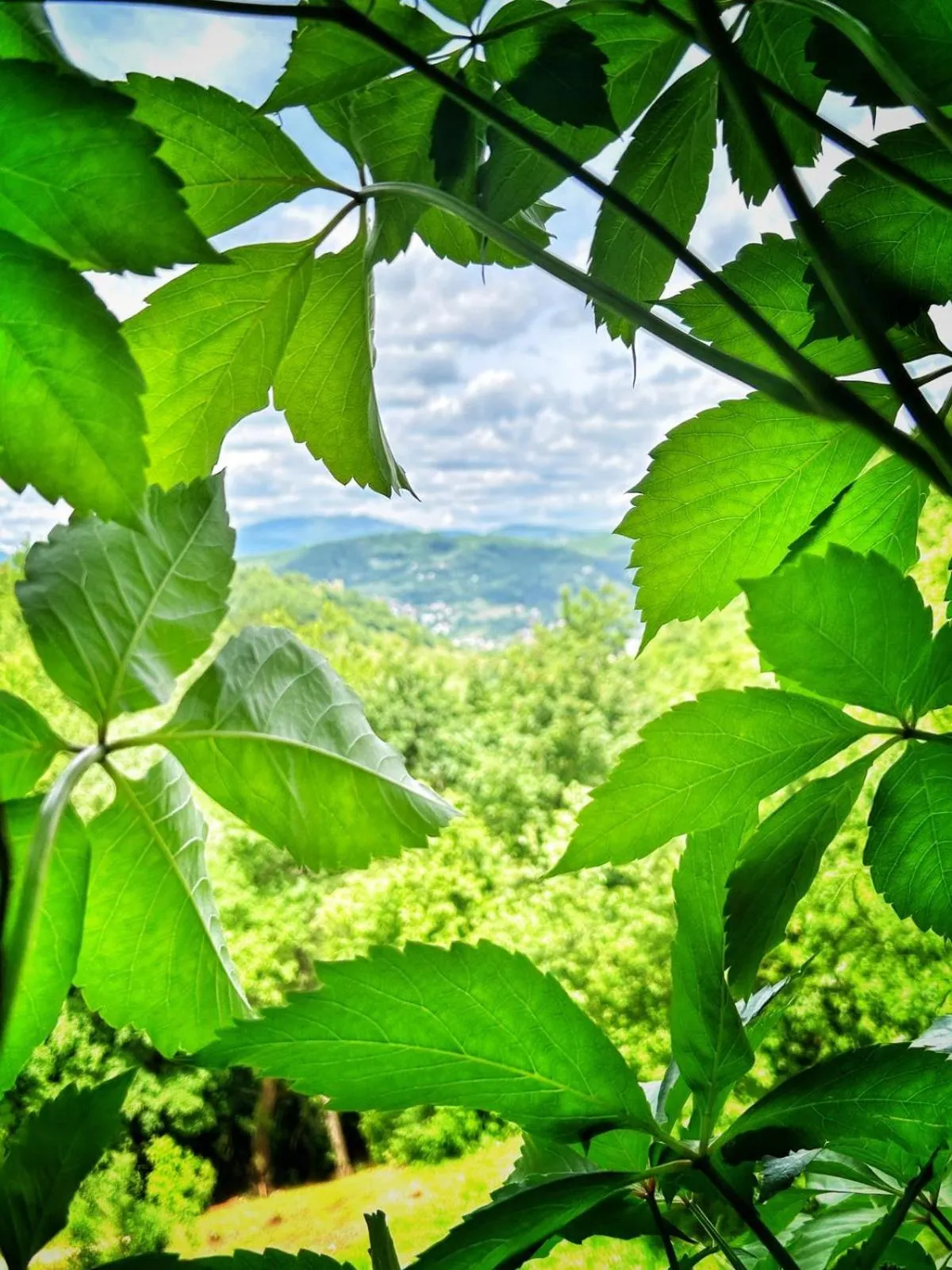 Day in Holiday Home Nature Neno