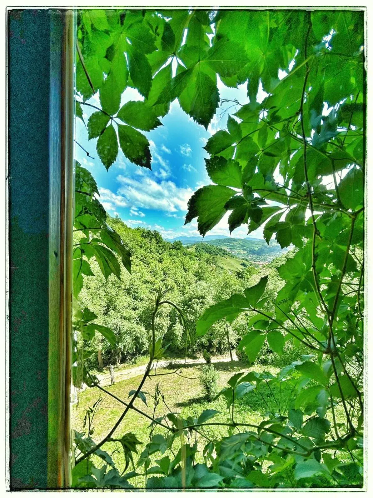 Day in Holiday Home Nature Neno