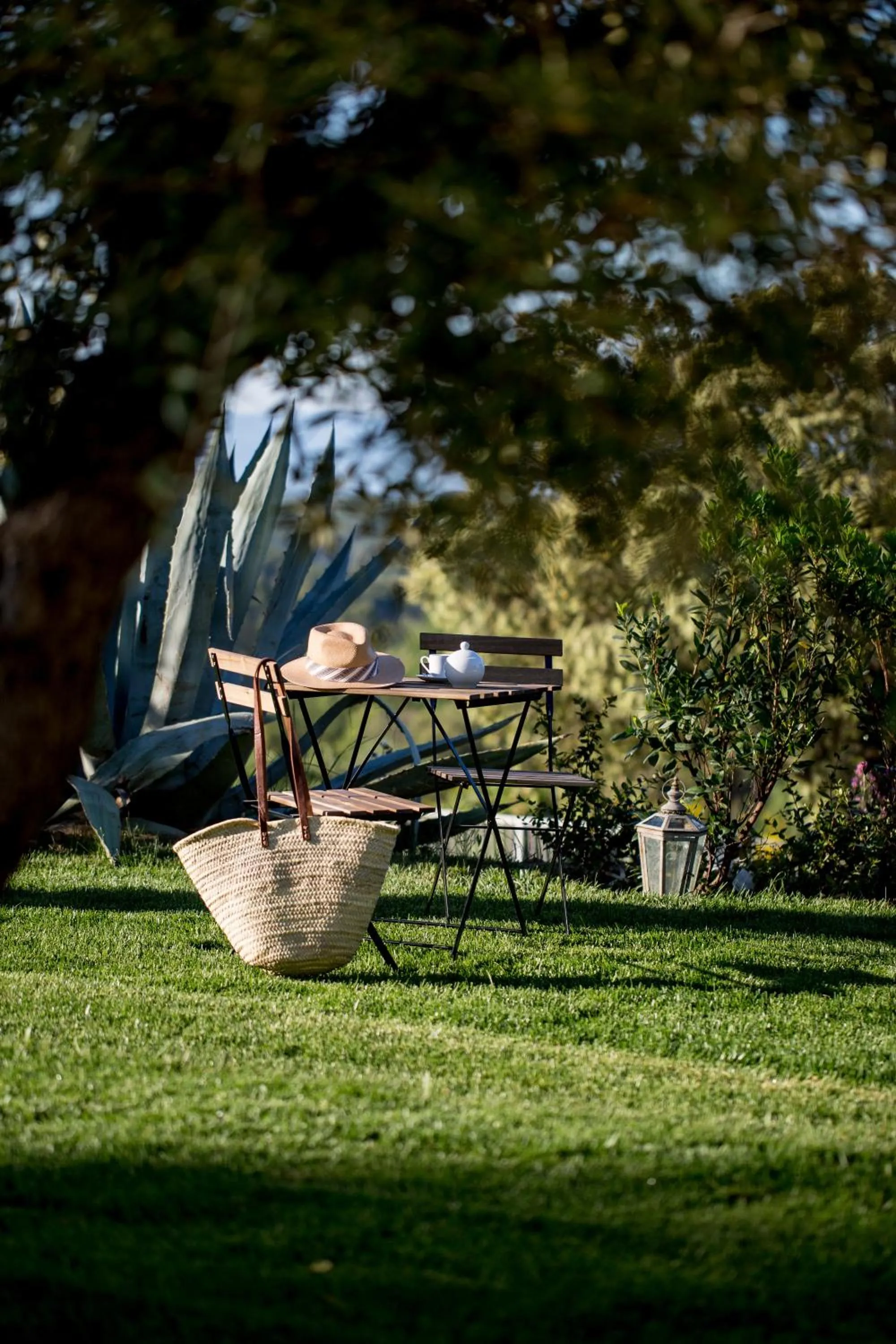 Garden in Domaine Monte Verdi