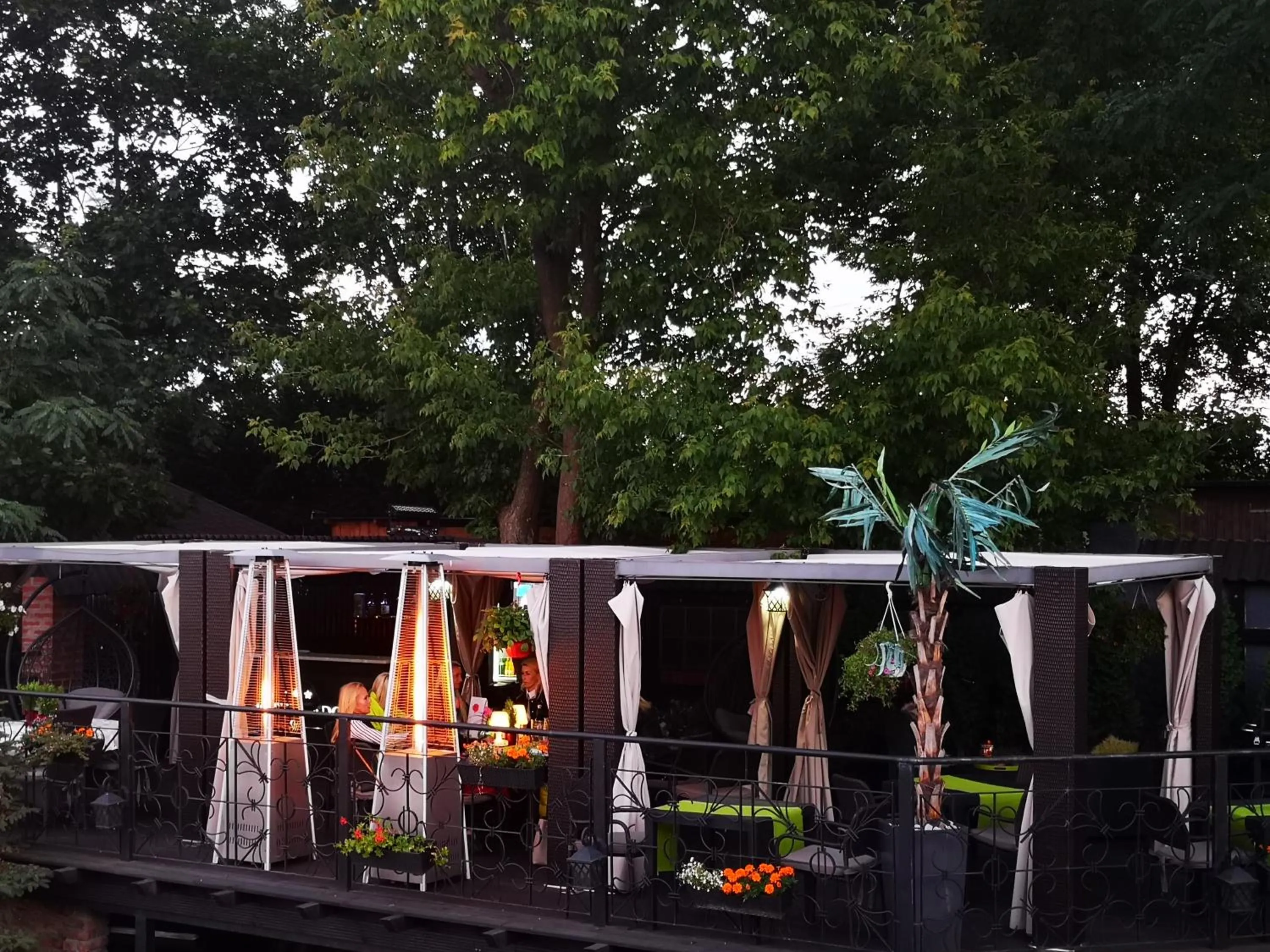 Garden in Hotel Fado