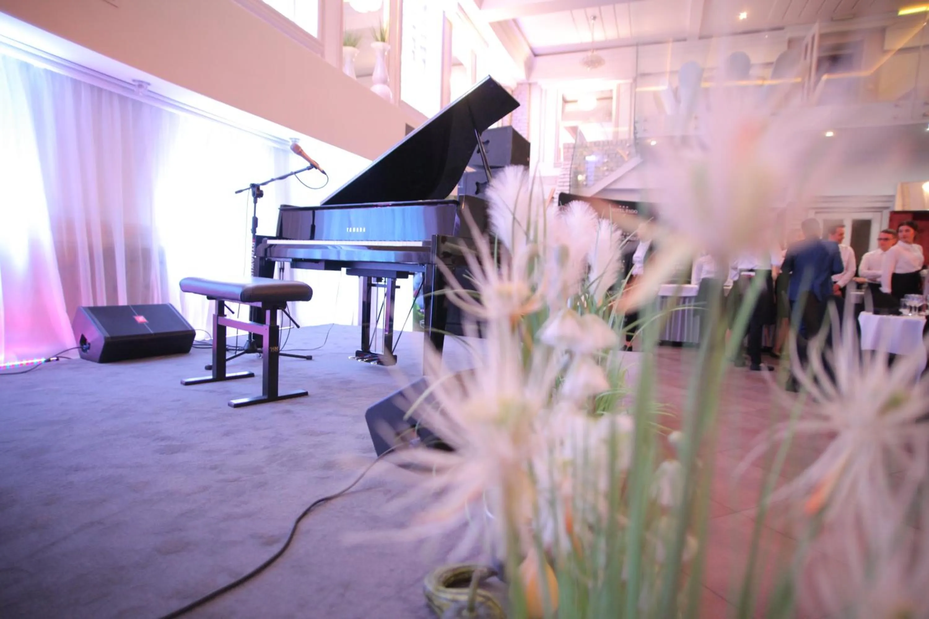 Evening entertainment in Hotel Fado