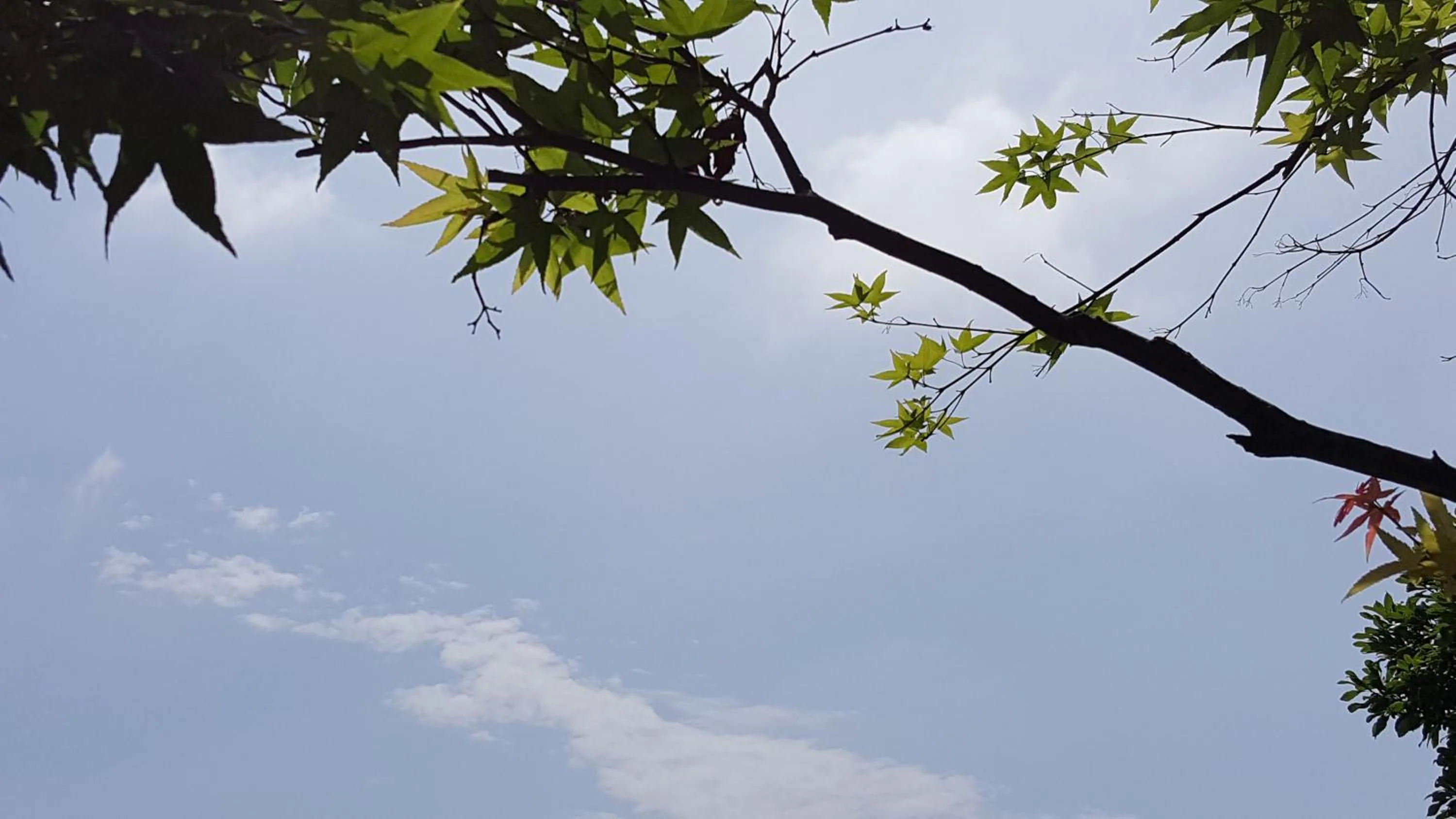 Natural landscape in Peace Area Hot Spring Hotel