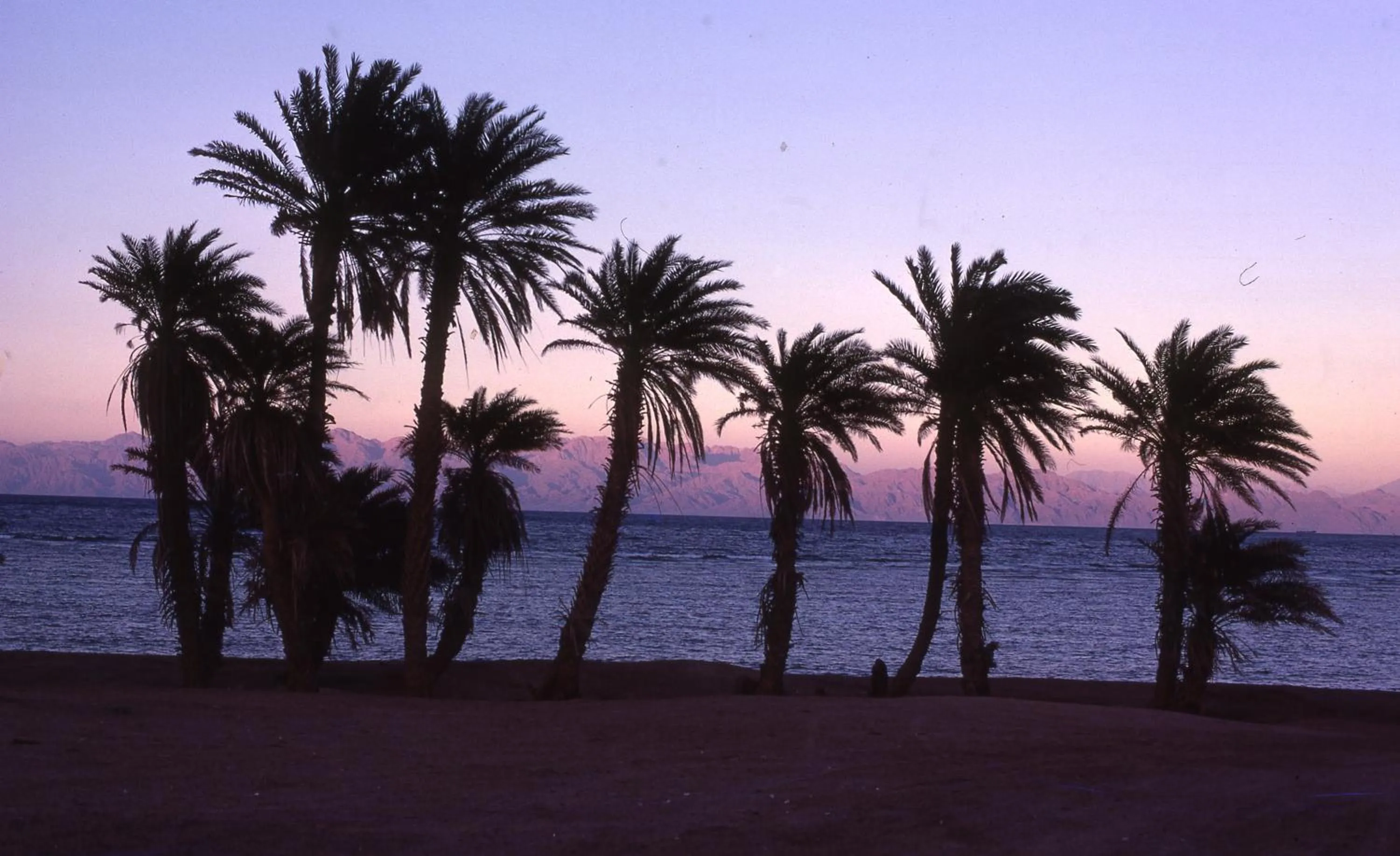 Beach in Star Of Dahab Hotel