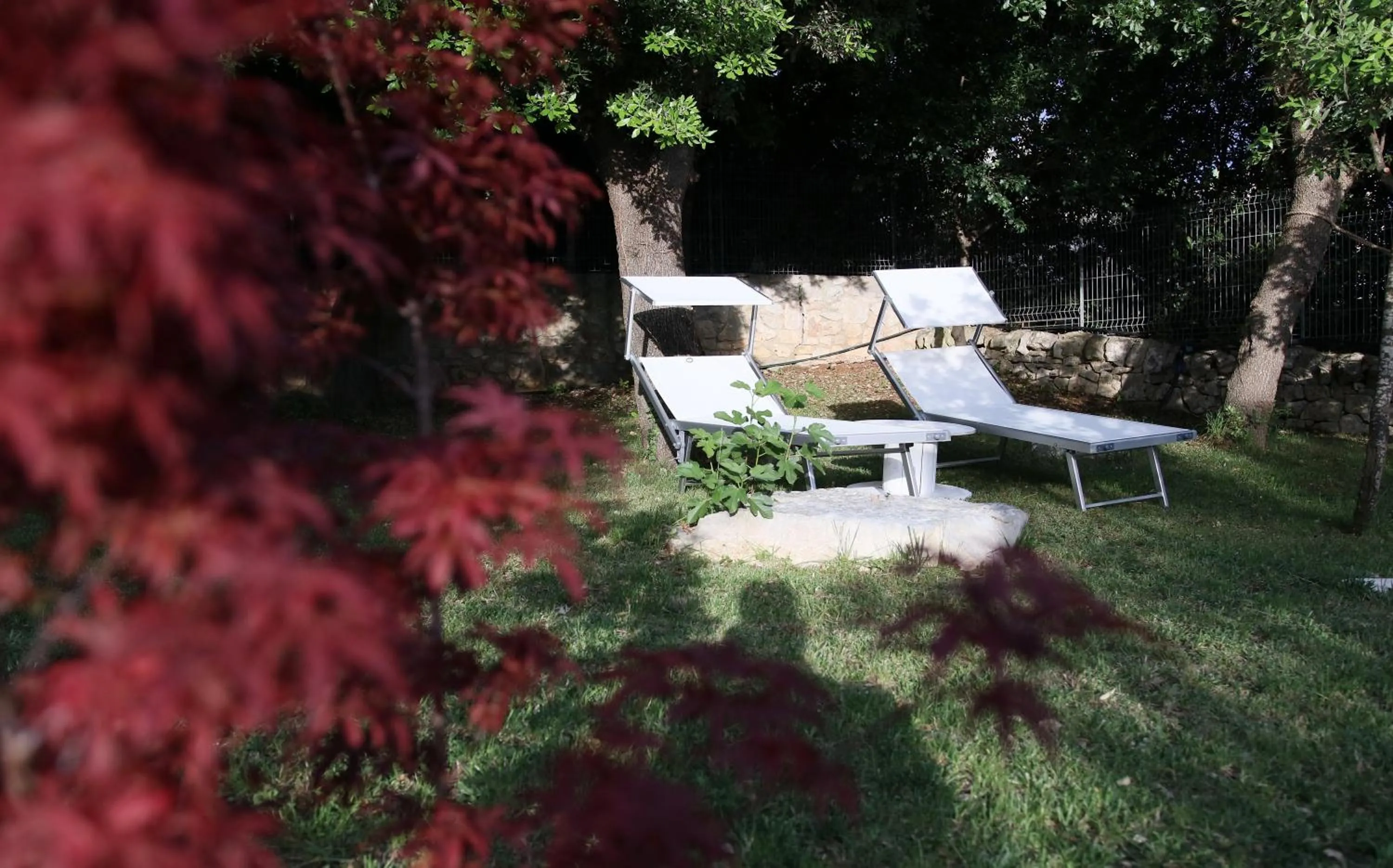 Area and facilities in Apulia Dream B&B