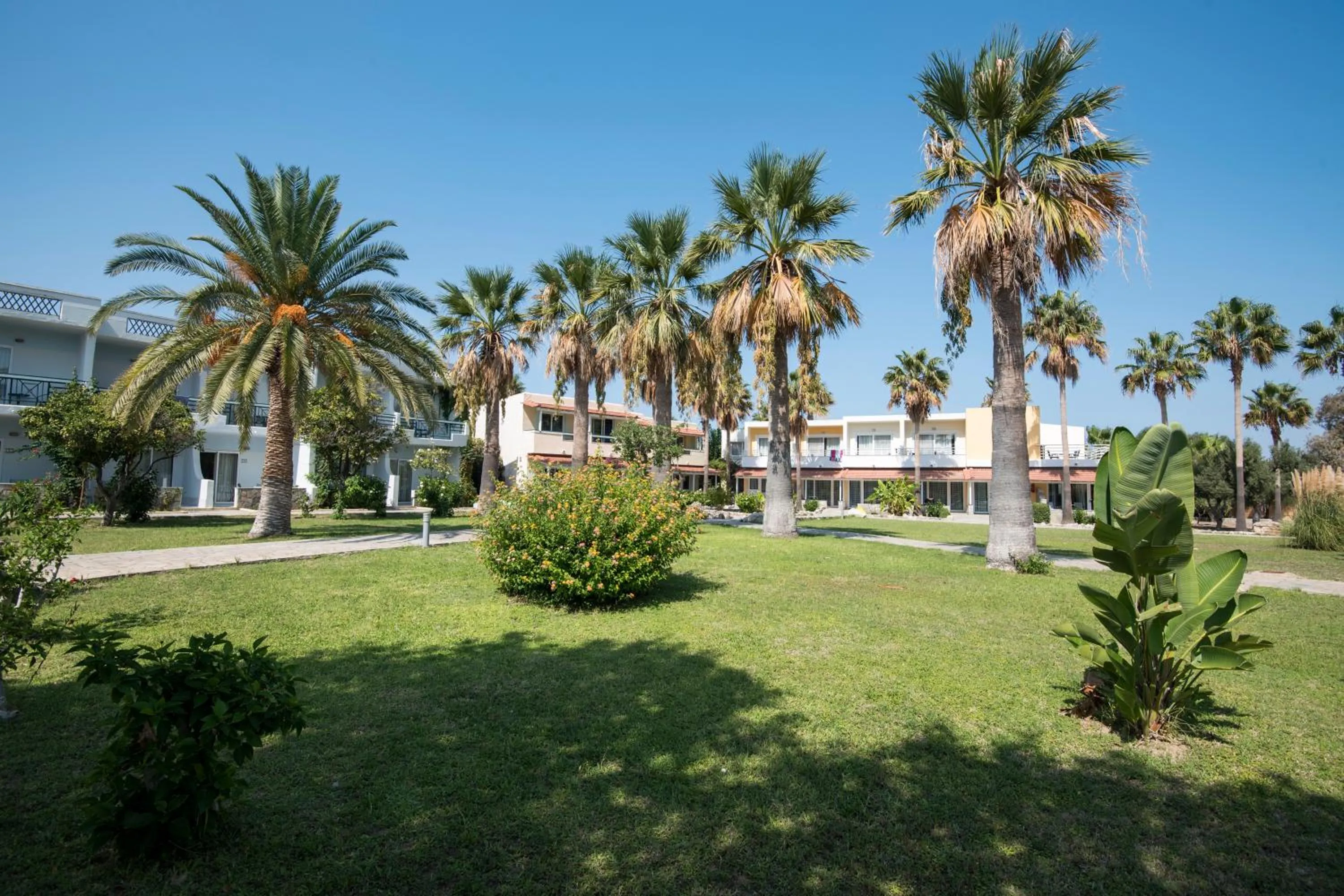 Garden in Atlantis Hotel