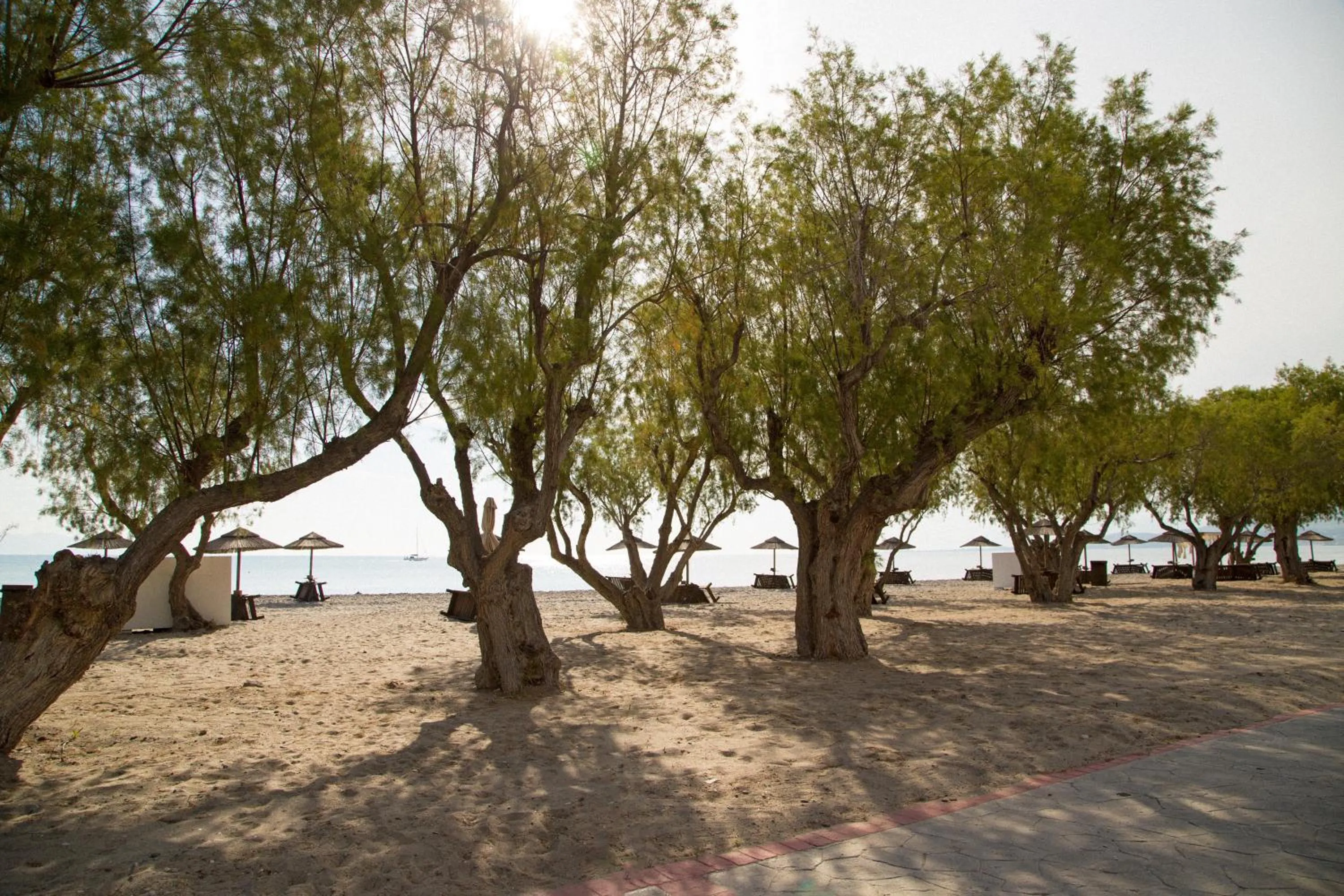 Beach in Atlantis Hotel