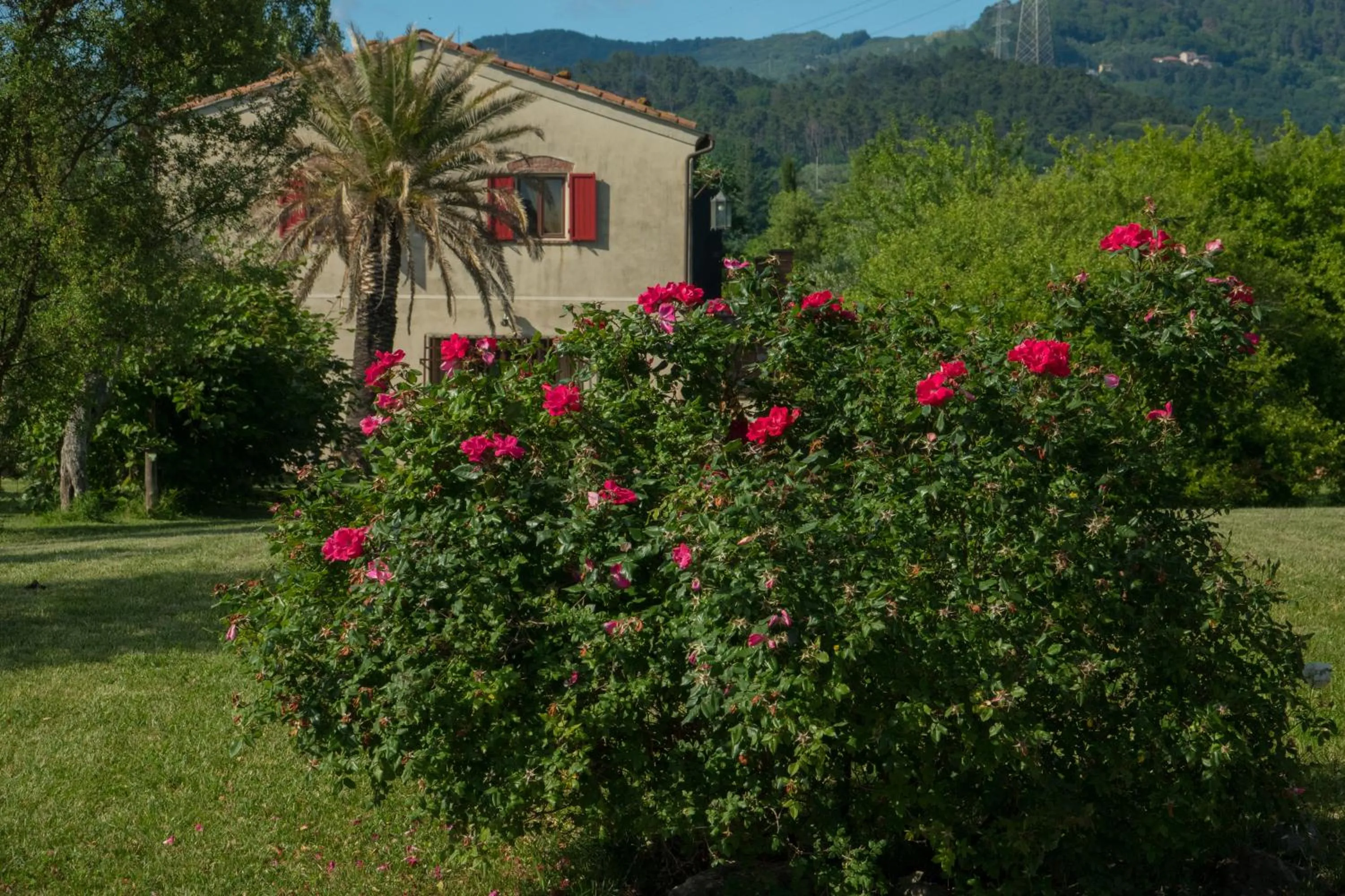 Natural landscape in Resort La Ghiaia