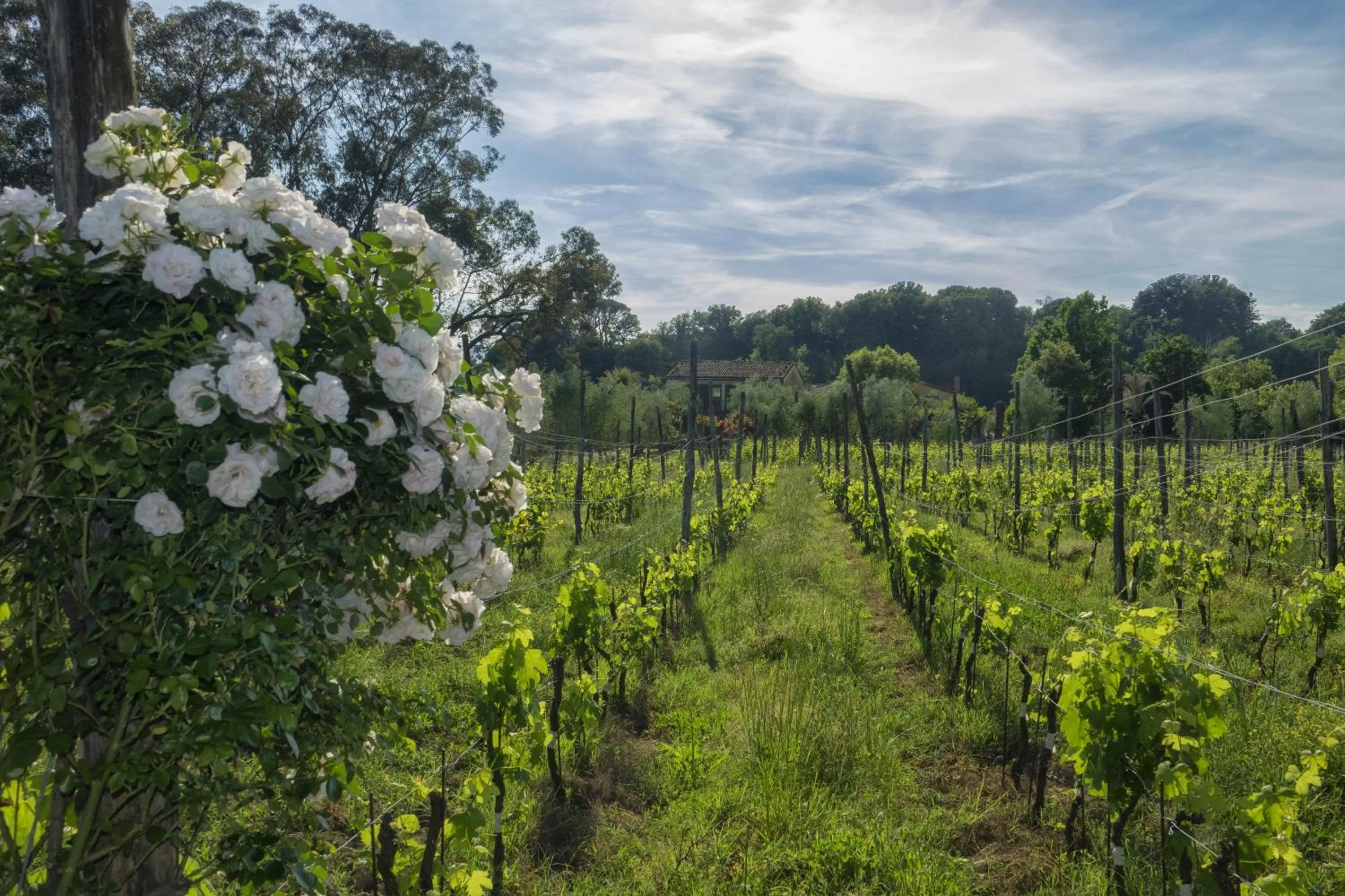 Natural landscape in Resort La Ghiaia