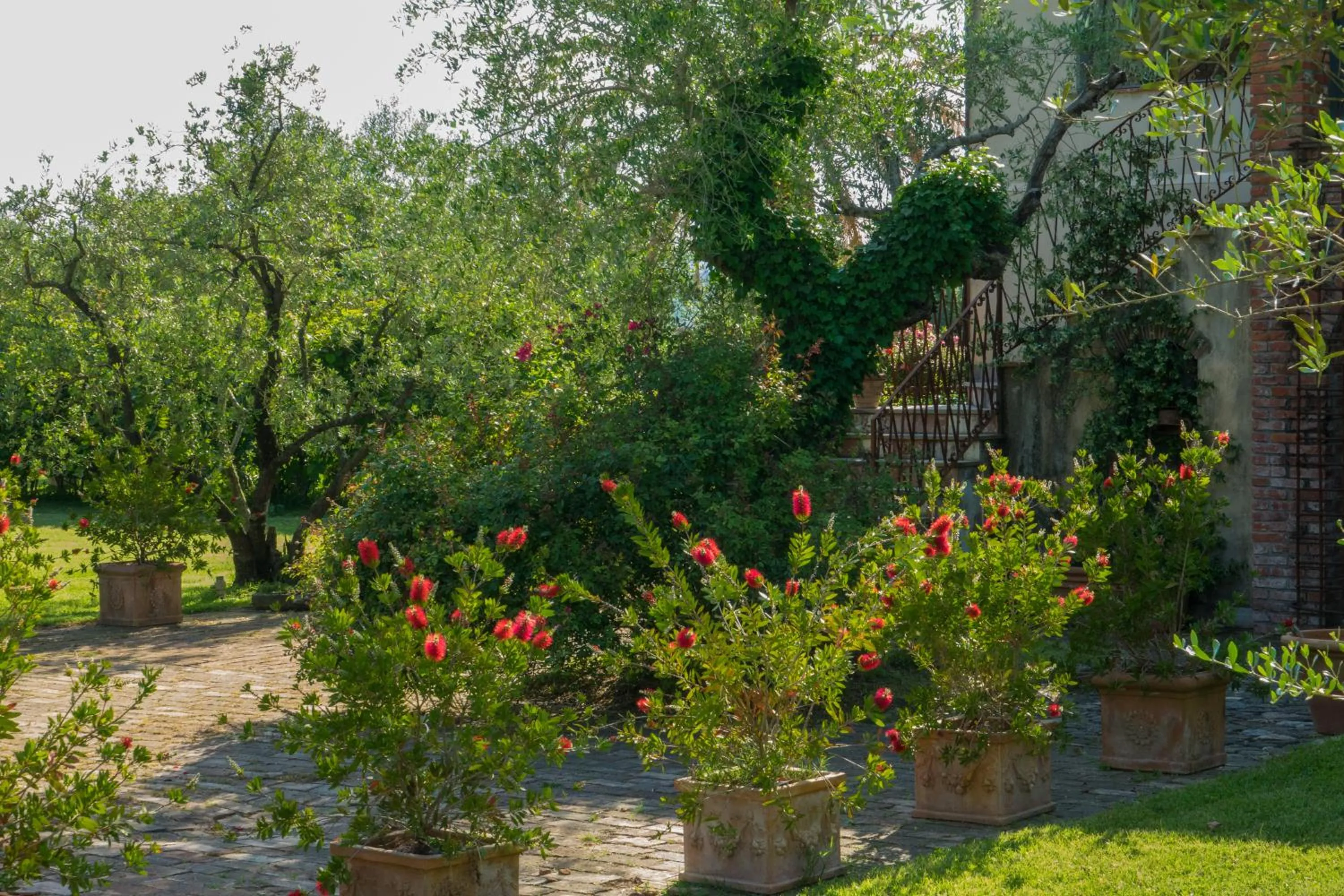 Natural landscape in Resort La Ghiaia