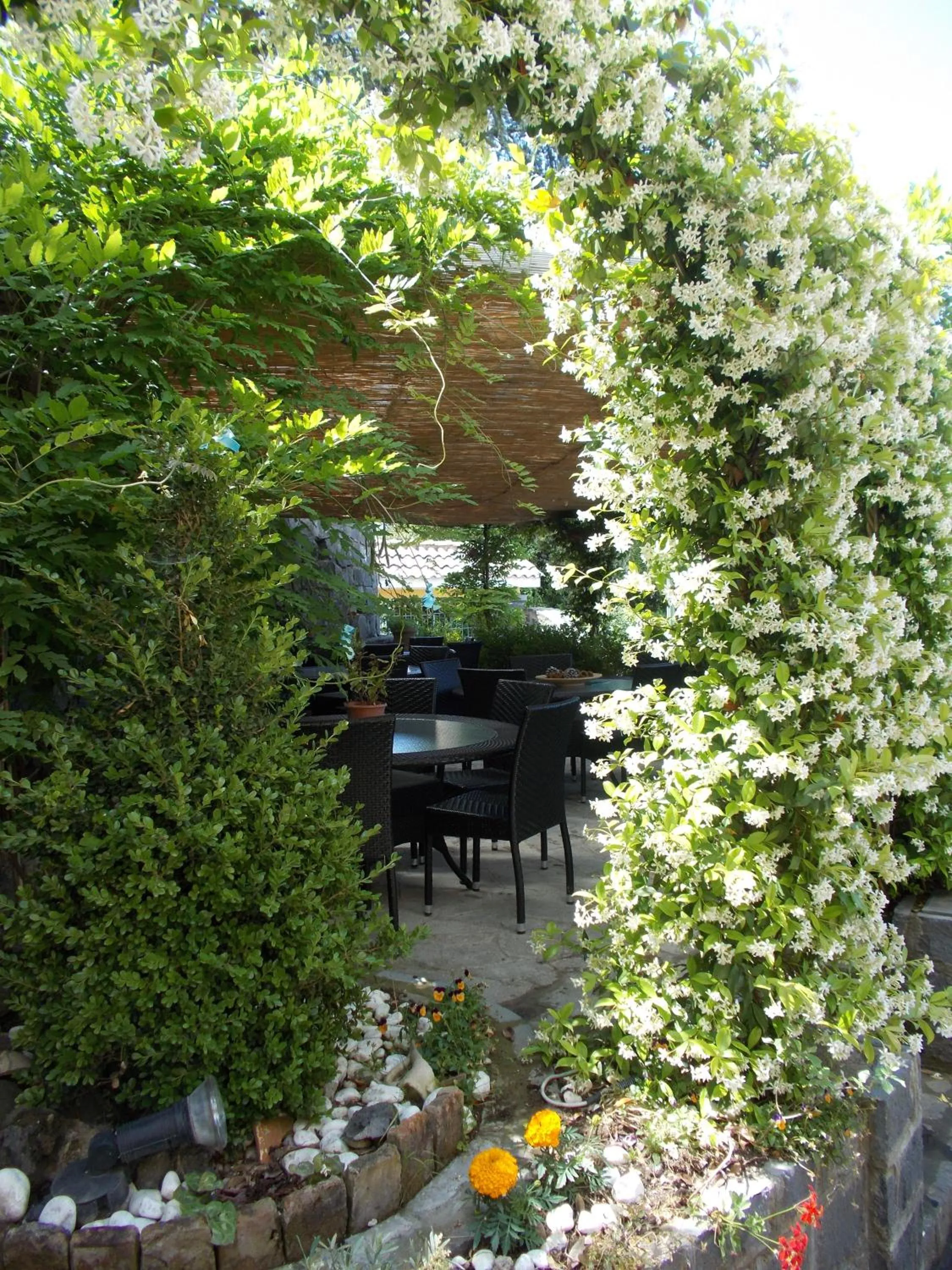 Garden in La Dimora Le Fumarole B&B