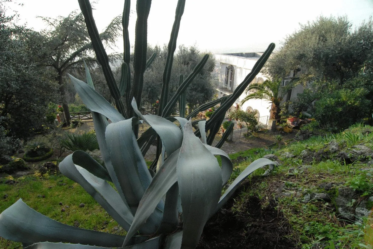 Garden in La Dimora Le Fumarole B&B